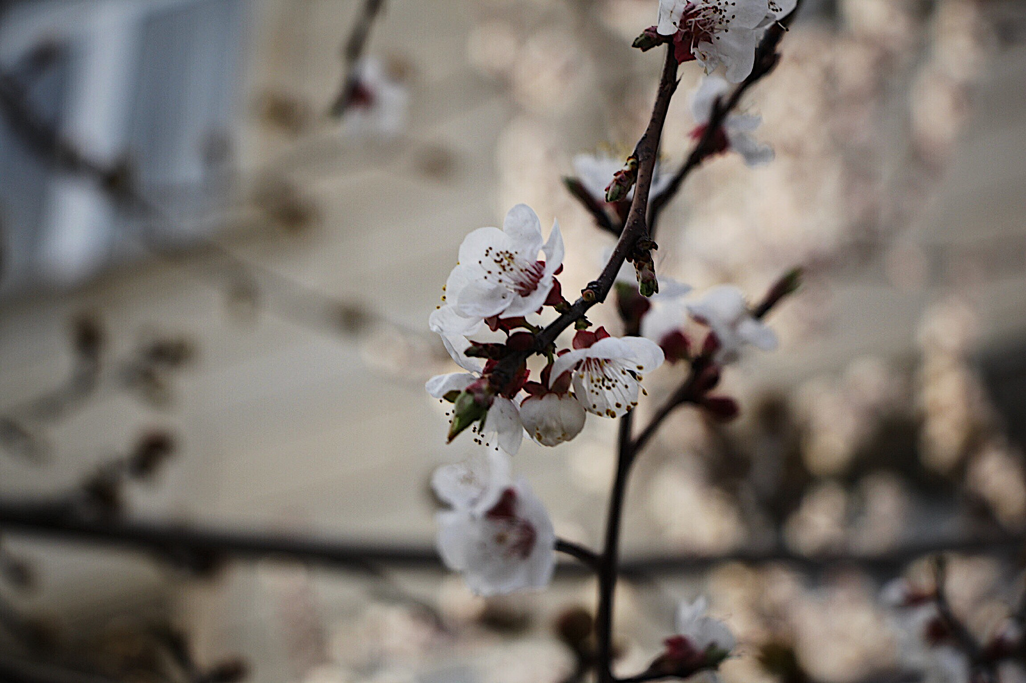 Canon EOS 60D sample photo