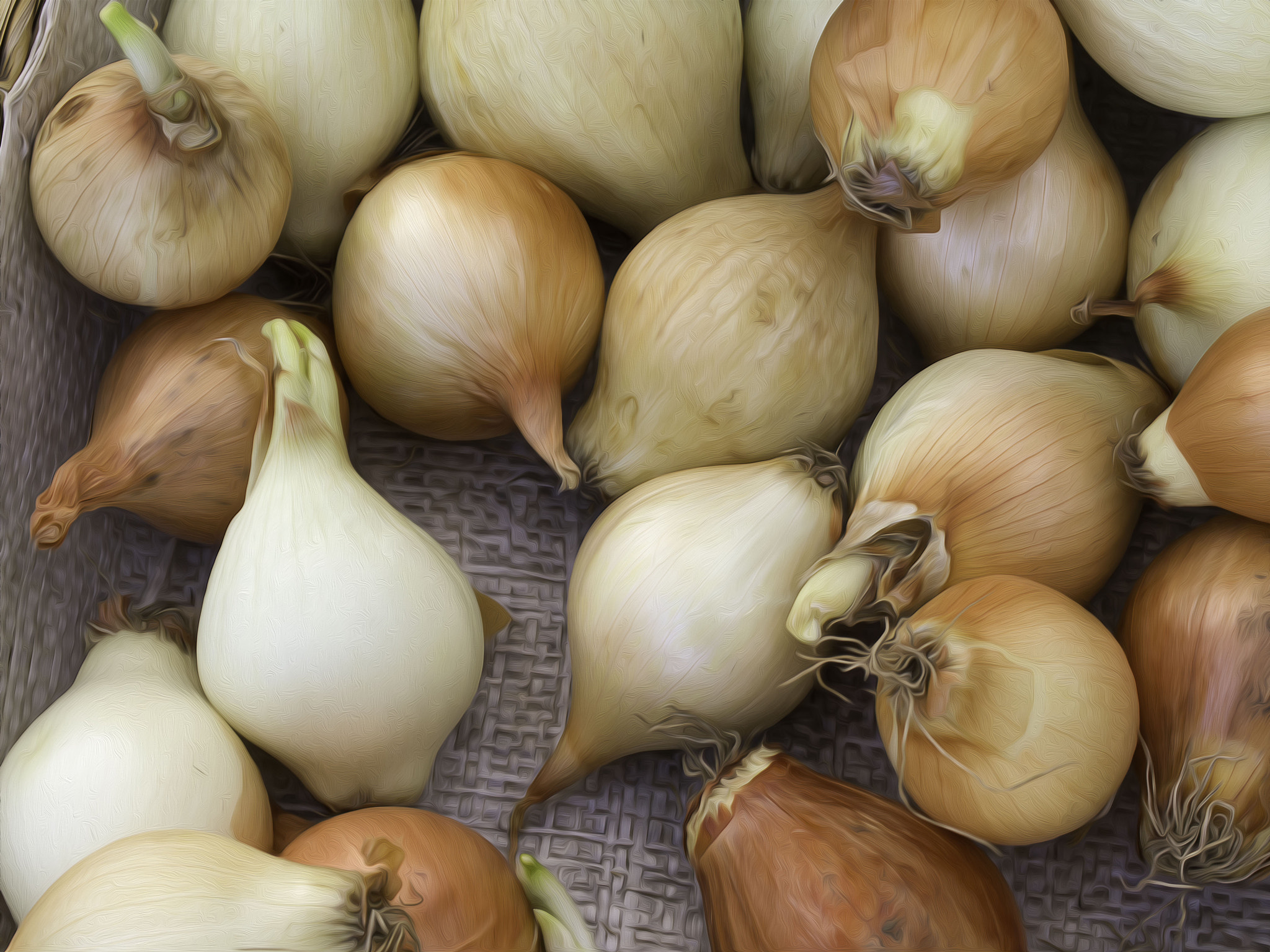 Olympus E-5 + OLYMPUS 50mm Lens sample photo. Onions photography