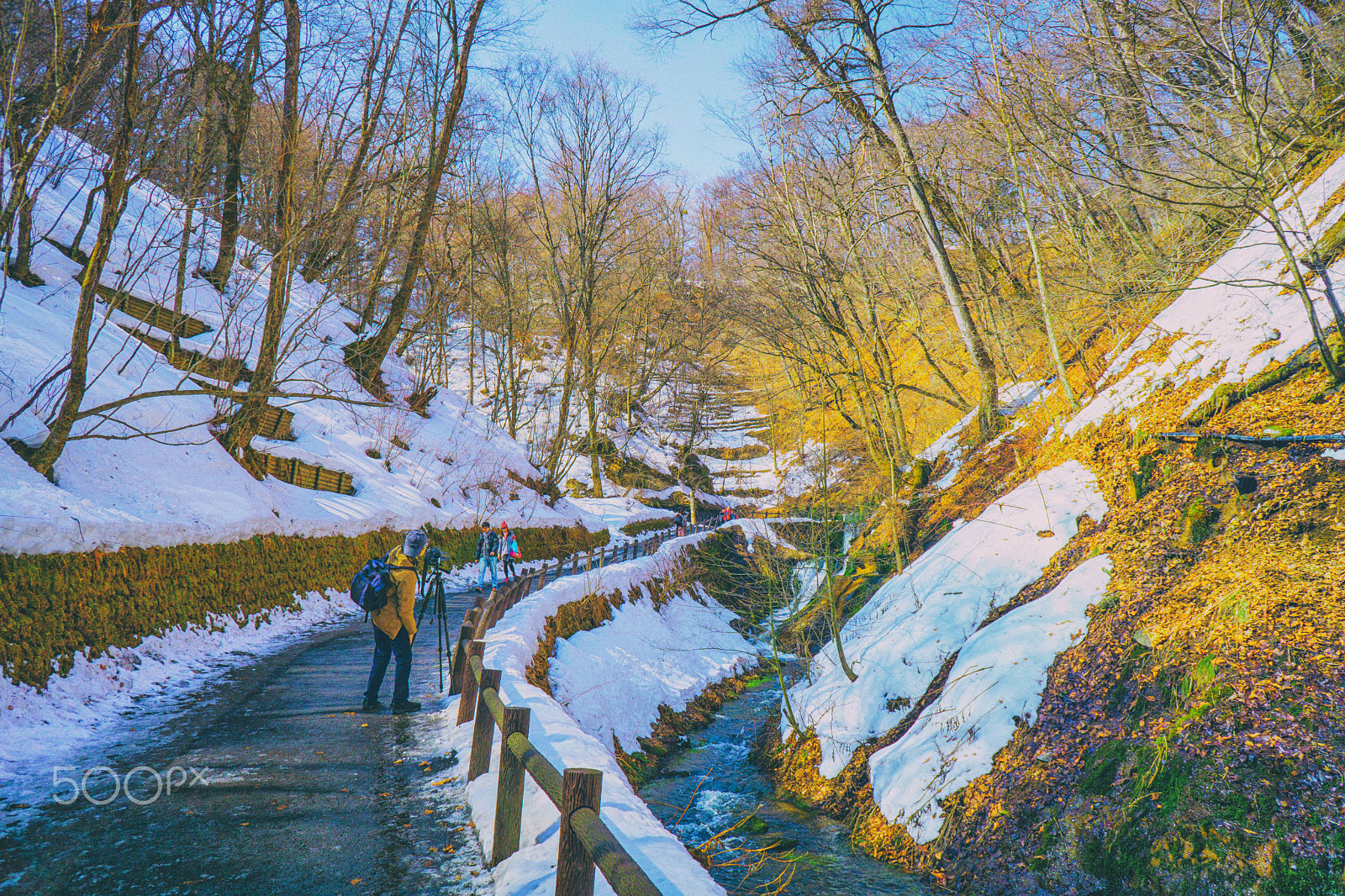 Sony a6000 sample photo. Time to take a photo on the icy path photography