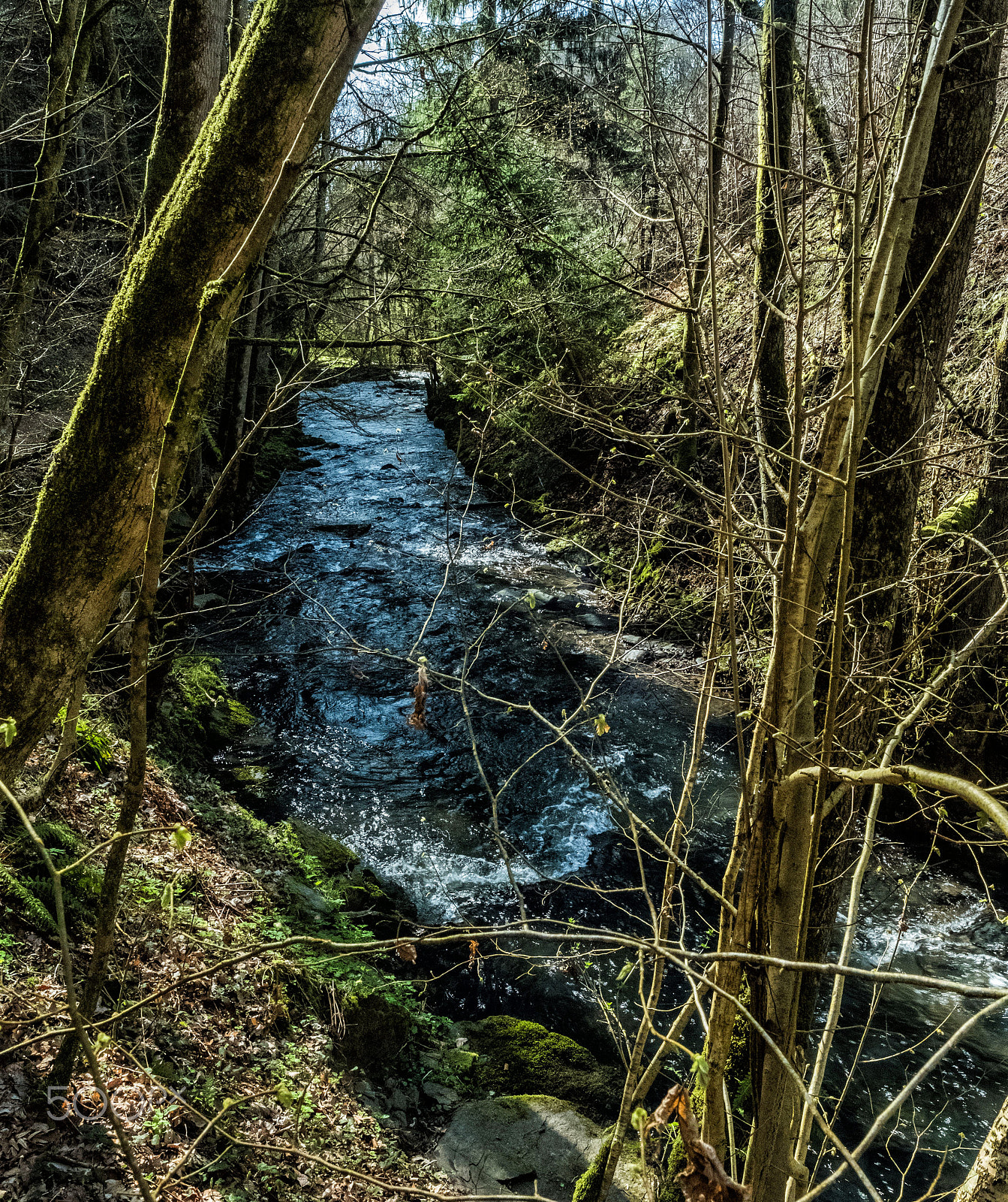 Fujifilm XF 16mm F1.4 R WR sample photo. Spring in brex 2 photography