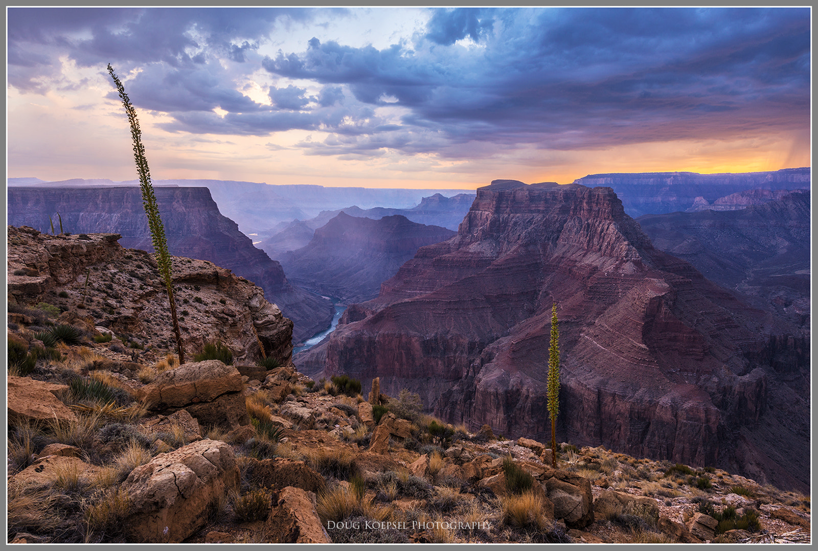 Nikon AF-S Nikkor 16-35mm F4G ED VR sample photo. Agave point photography