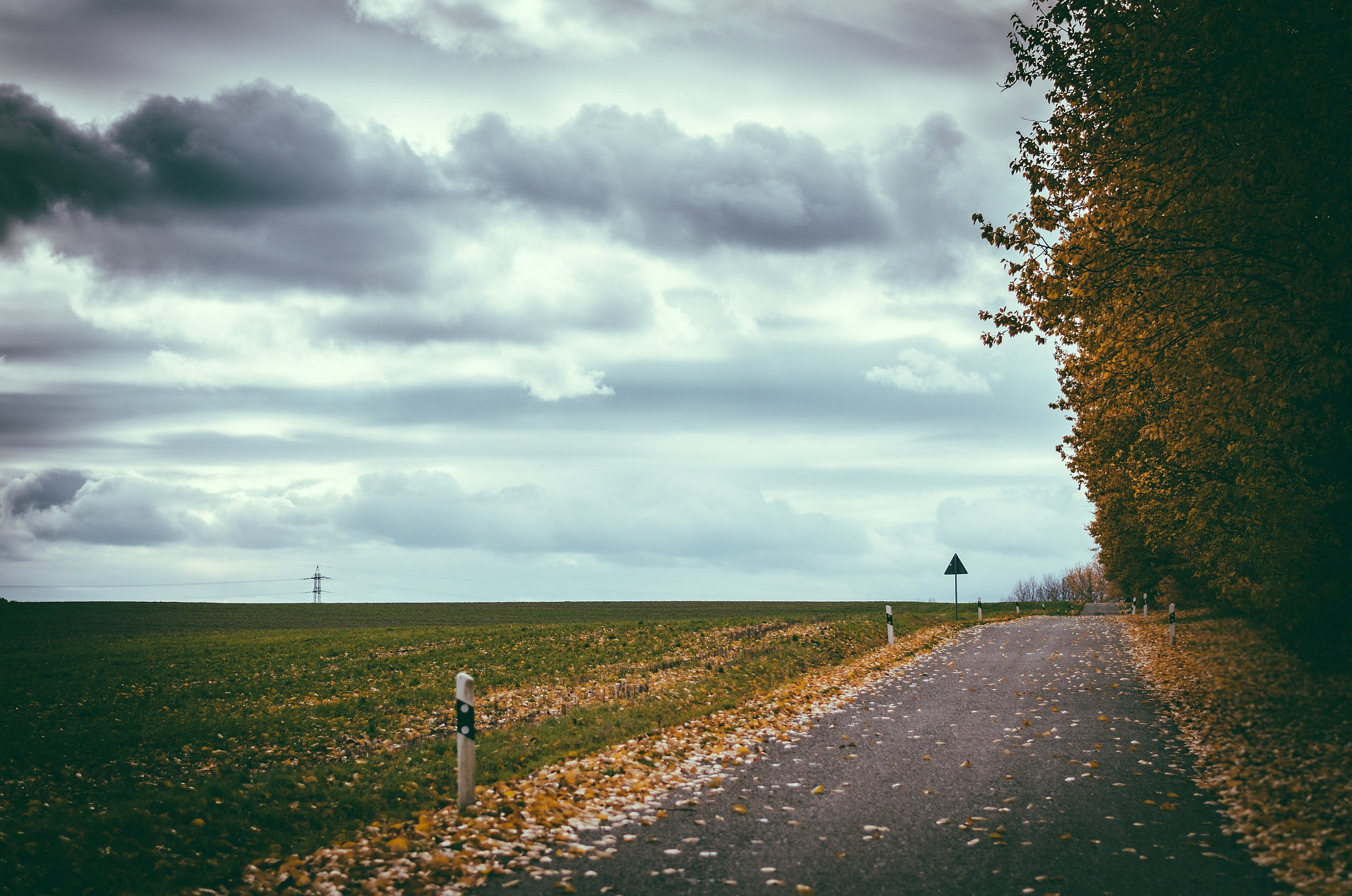 Nikon D7000 + Nikon AF-S Nikkor 50mm F1.8G sample photo. Herbstlandschaft photography