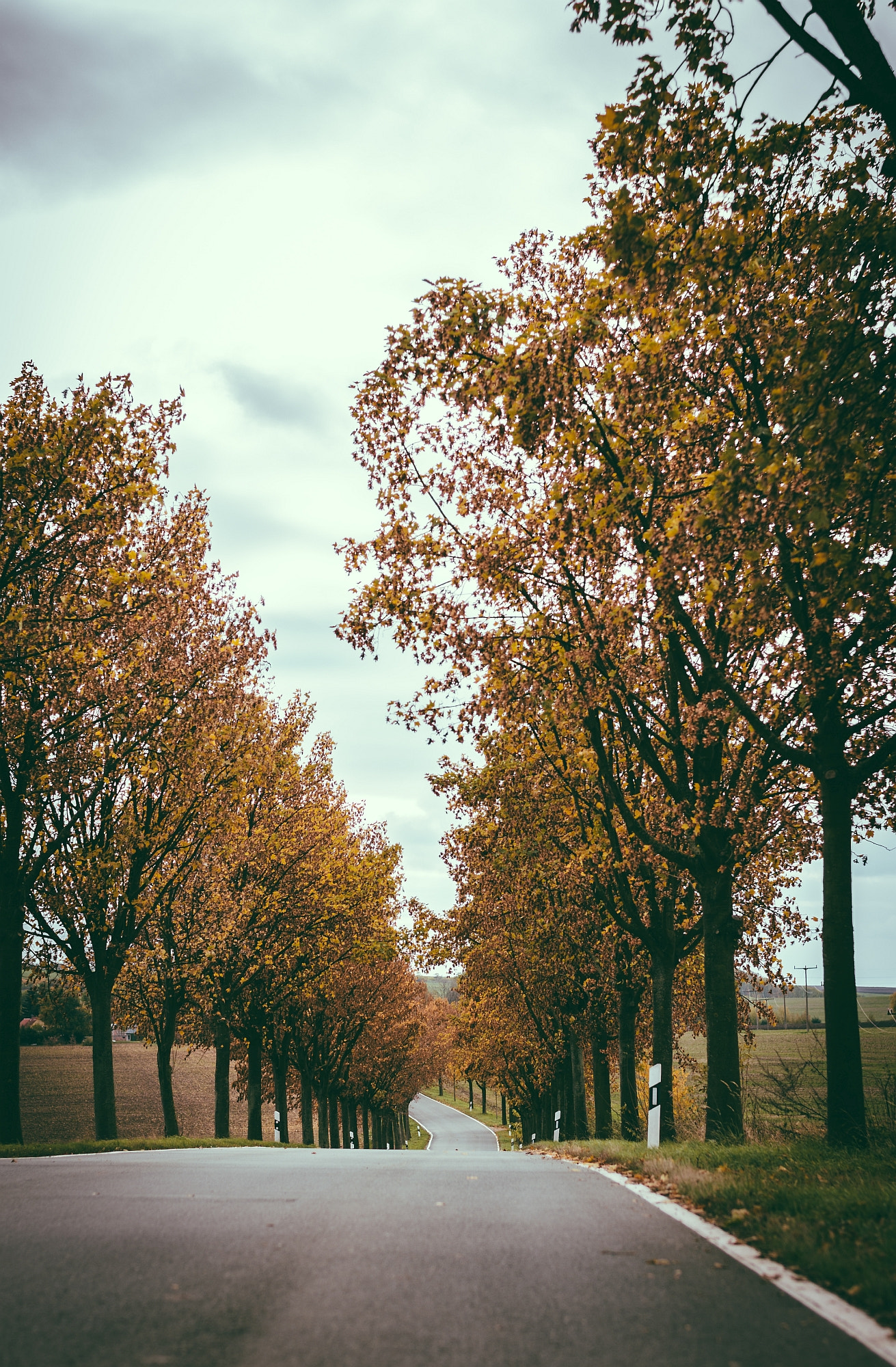 Nikon D7000 + Nikon AF-S Nikkor 50mm F1.8G sample photo. Herbstlandschaft photography