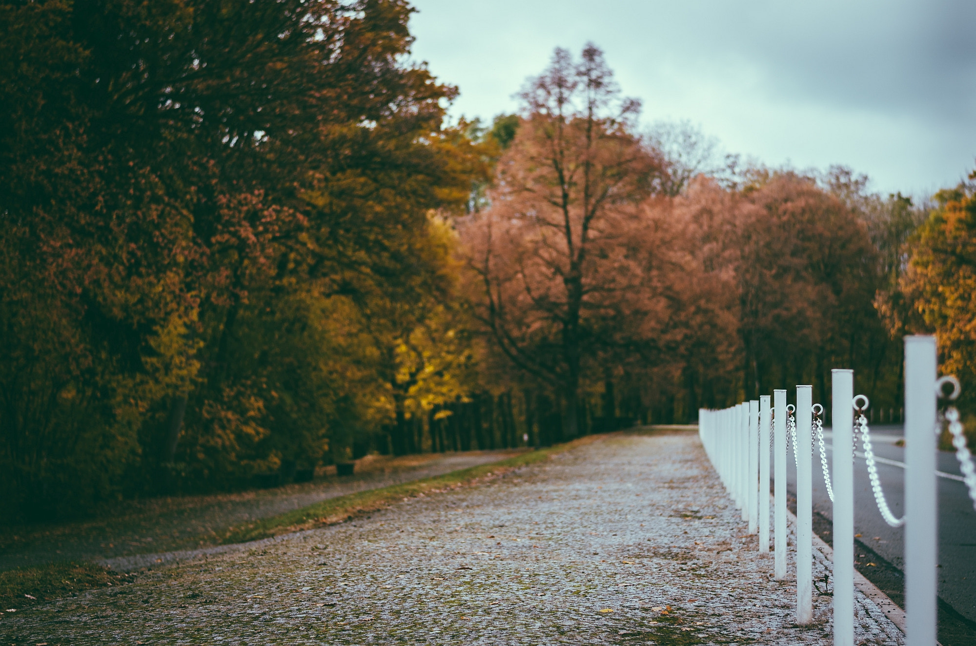 Nikon D7000 + Nikon AF-S Nikkor 50mm F1.8G sample photo. Herbstlandschaft photography