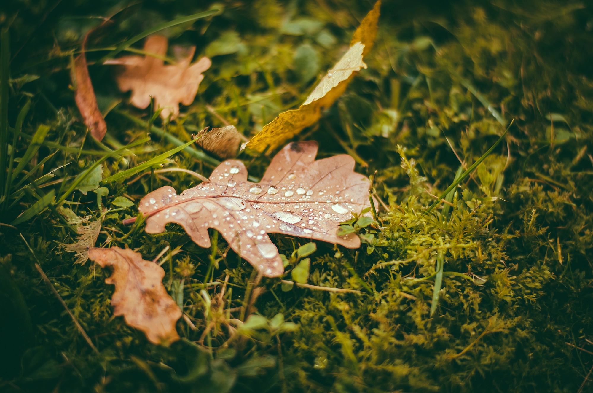 Nikon D7000 sample photo. Herbstlandschaft photography