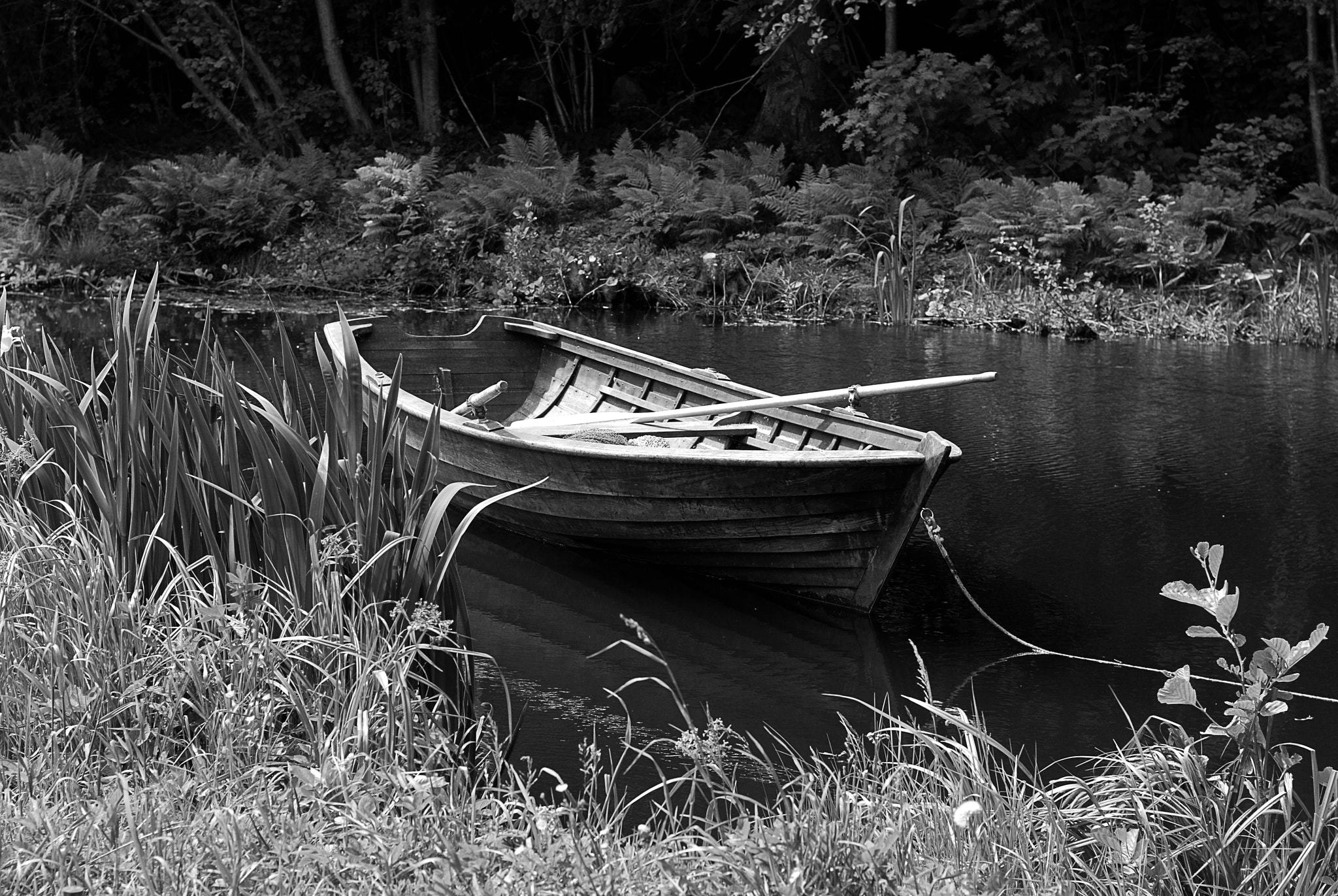 Nikon D80 + Nikon AF Nikkor 50mm F1.4D sample photo. The boat ii photography