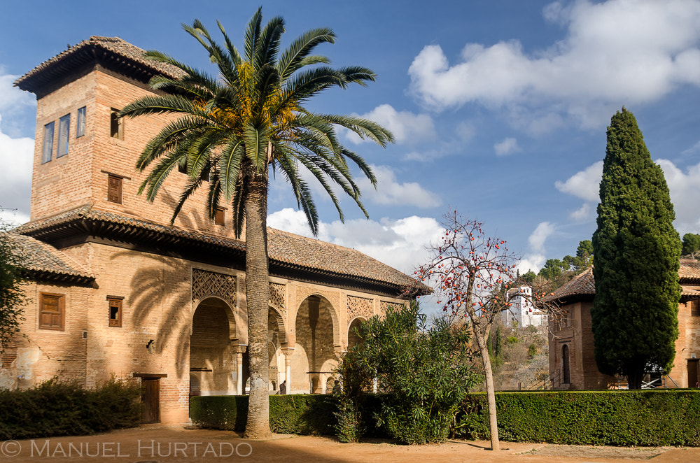 Nikon D7000 sample photo. Torre de las damas photography