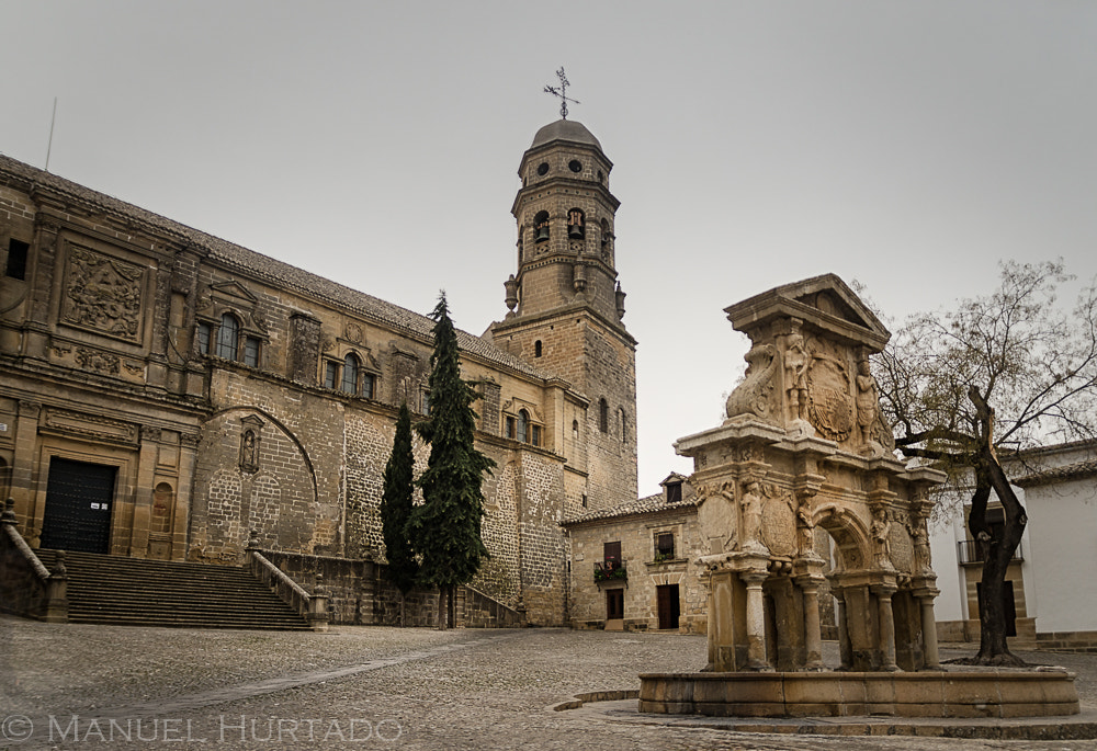 Sigma 17-70mm F2.8-4 DC Macro OS HSM sample photo. Catedral de baeza photography
