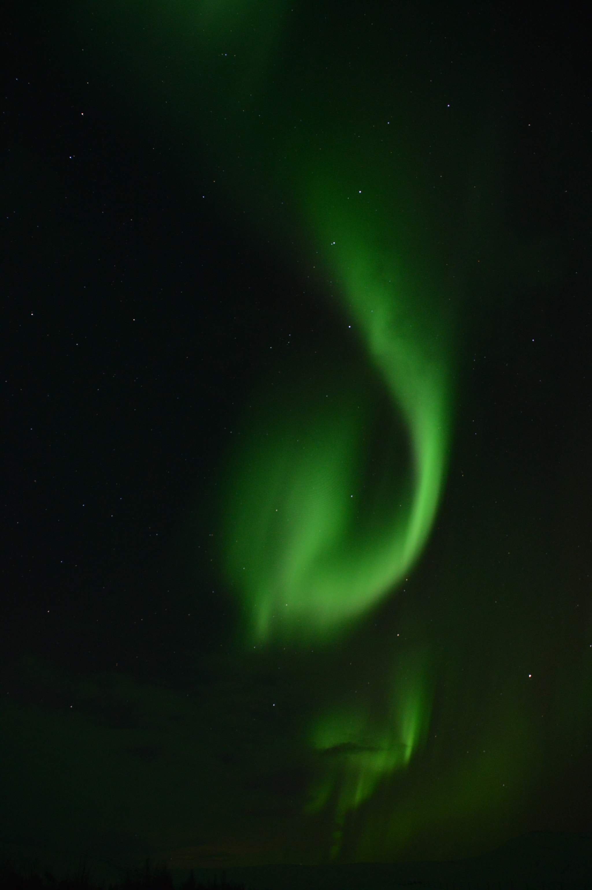 Nikon D3200 sample photo. A dream come true photography