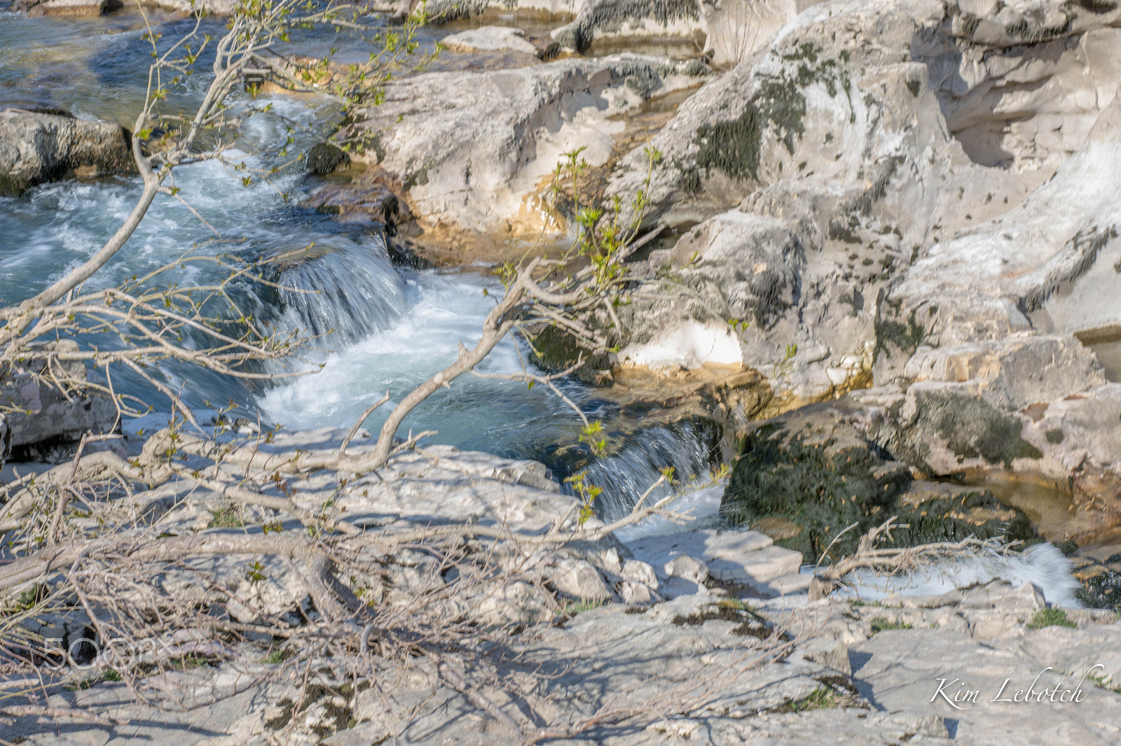 Nikon D7200 sample photo. 32664879364.jpg photography