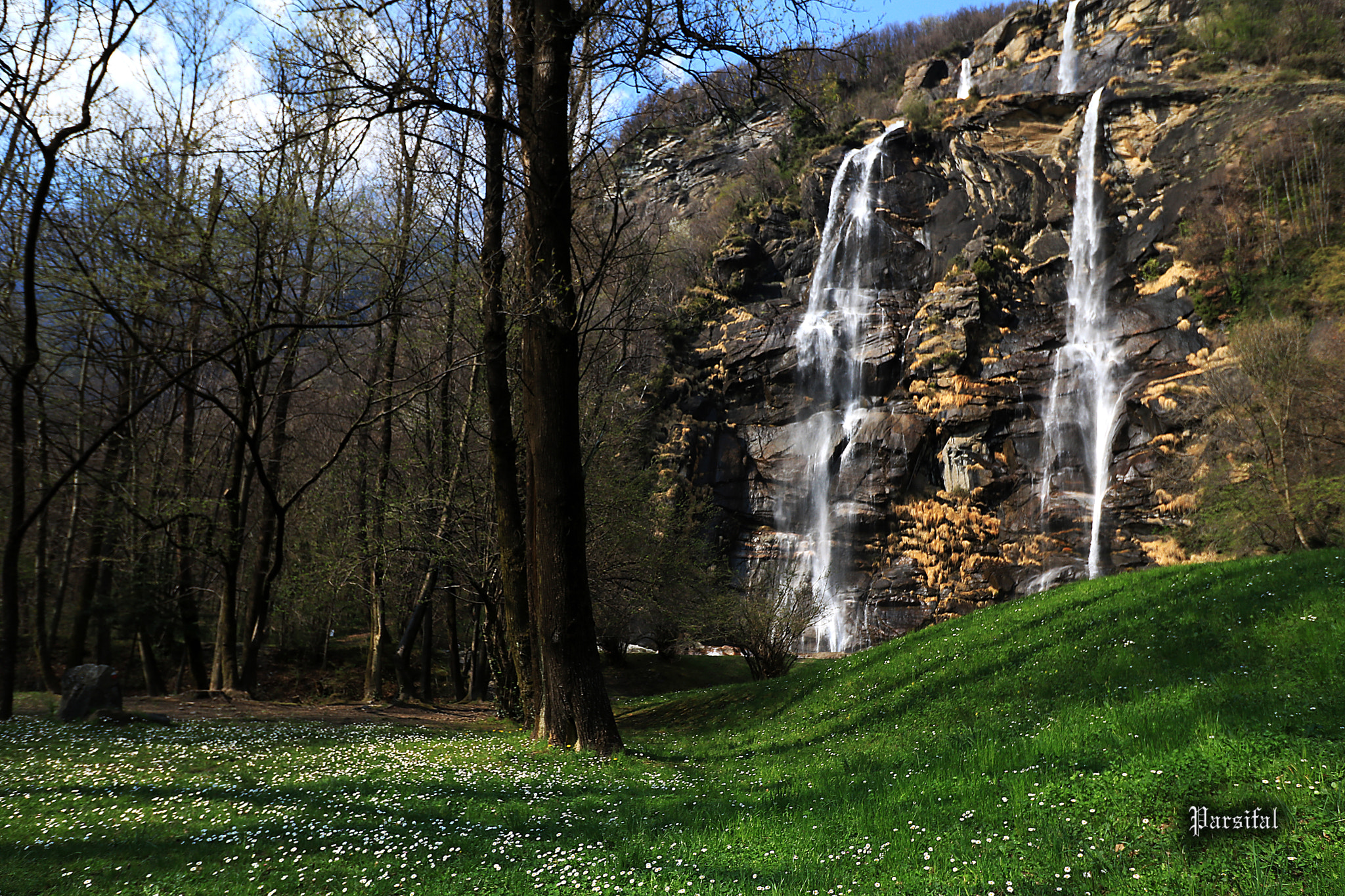Canon EOS 750D (EOS Rebel T6i / EOS Kiss X8i) sample photo. Spring begins photography