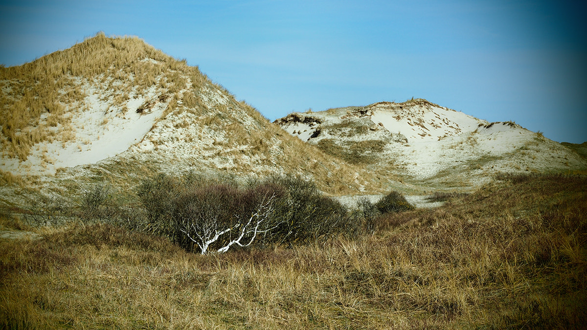 LUMIX G VARIO 12-60/F3.5-5.6 sample photo. At the foot of the dune ... photography
