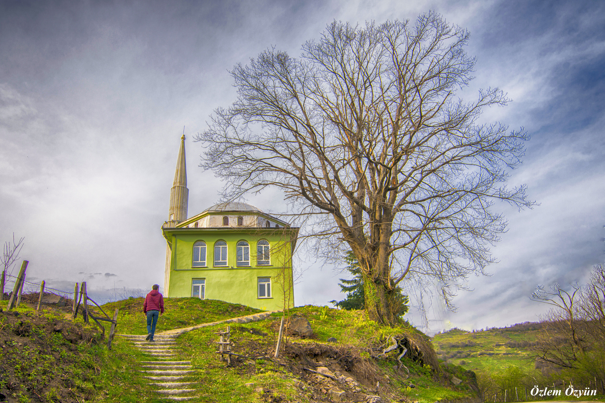 Tokina AT-X Pro 11-16mm F2.8 DX sample photo. Spring photography