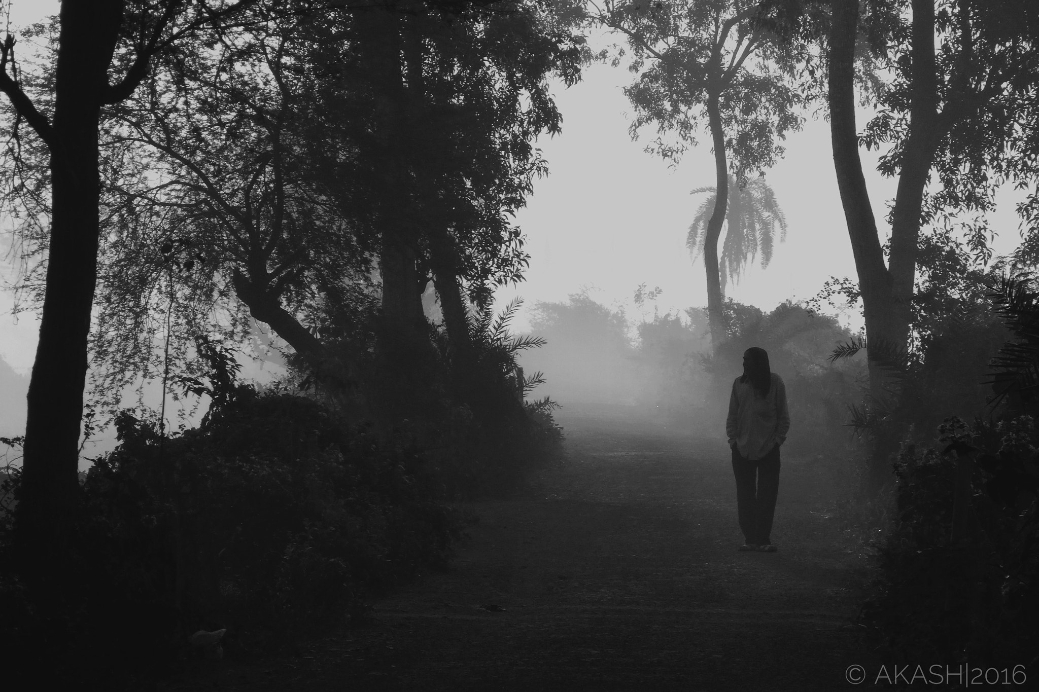 Olympus SZ-15,DZ-100 sample photo. Walking alone photography