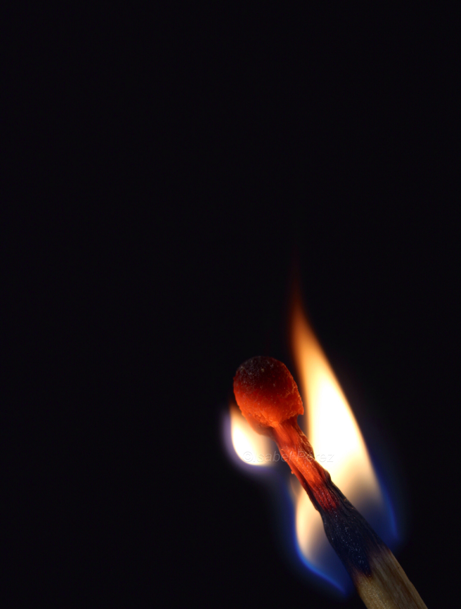 Canon EF 100mm F2.8 Macro USM sample photo. Fire. photography