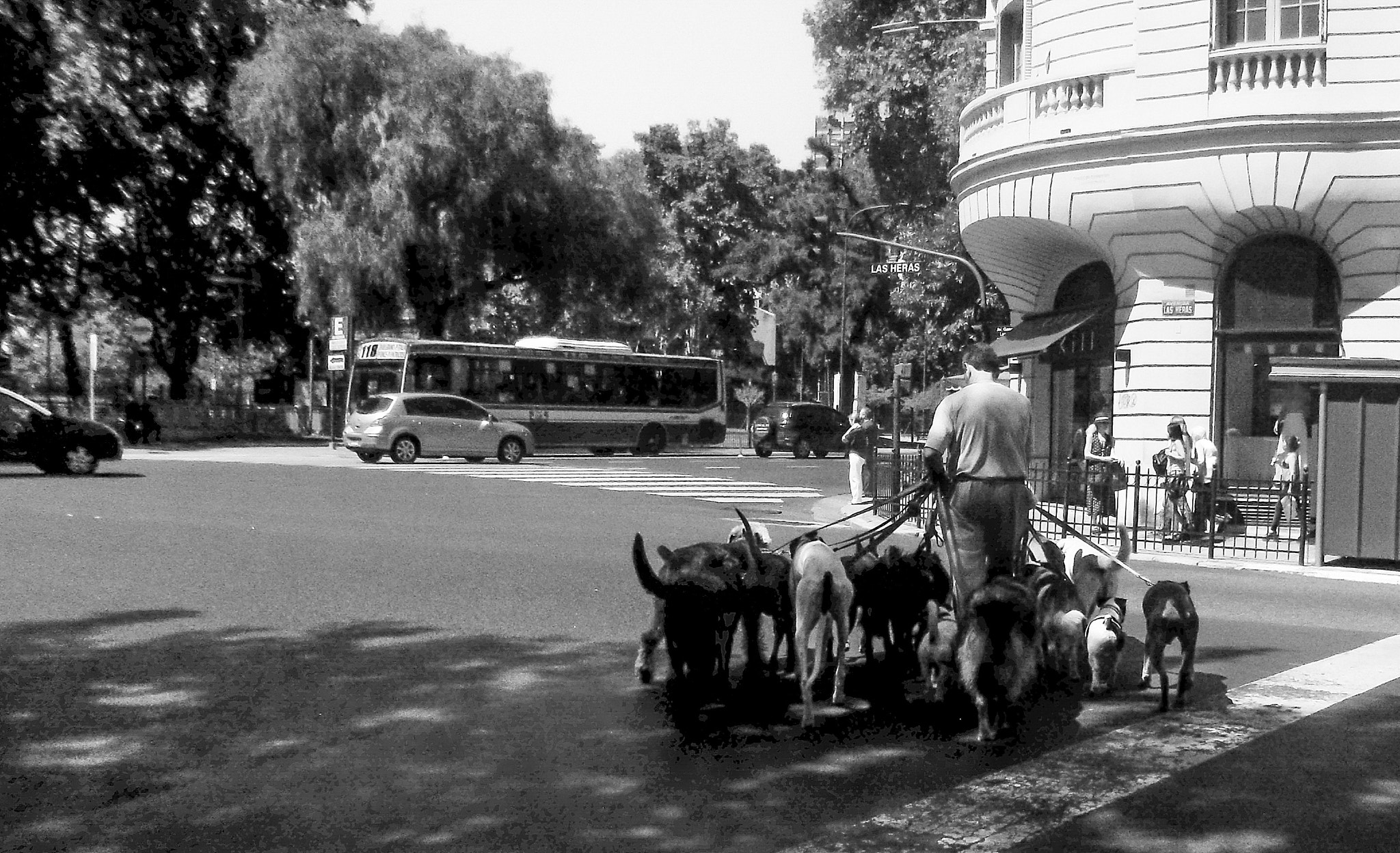 Samsung PL120,PL121 / VLUU PL120,PL121 sample photo. Paseando perrros buenos aires photography