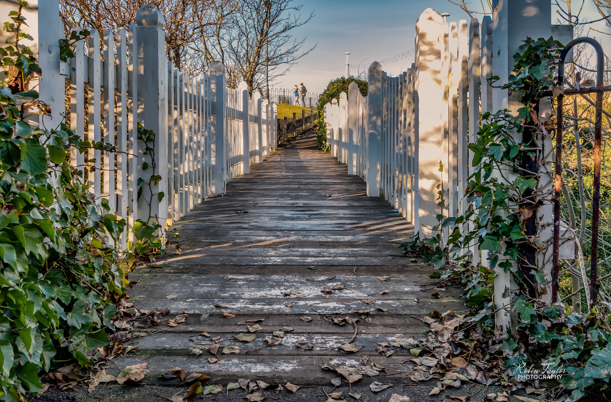 Pentax K-S1 sample photo. Roker park footbridge photography