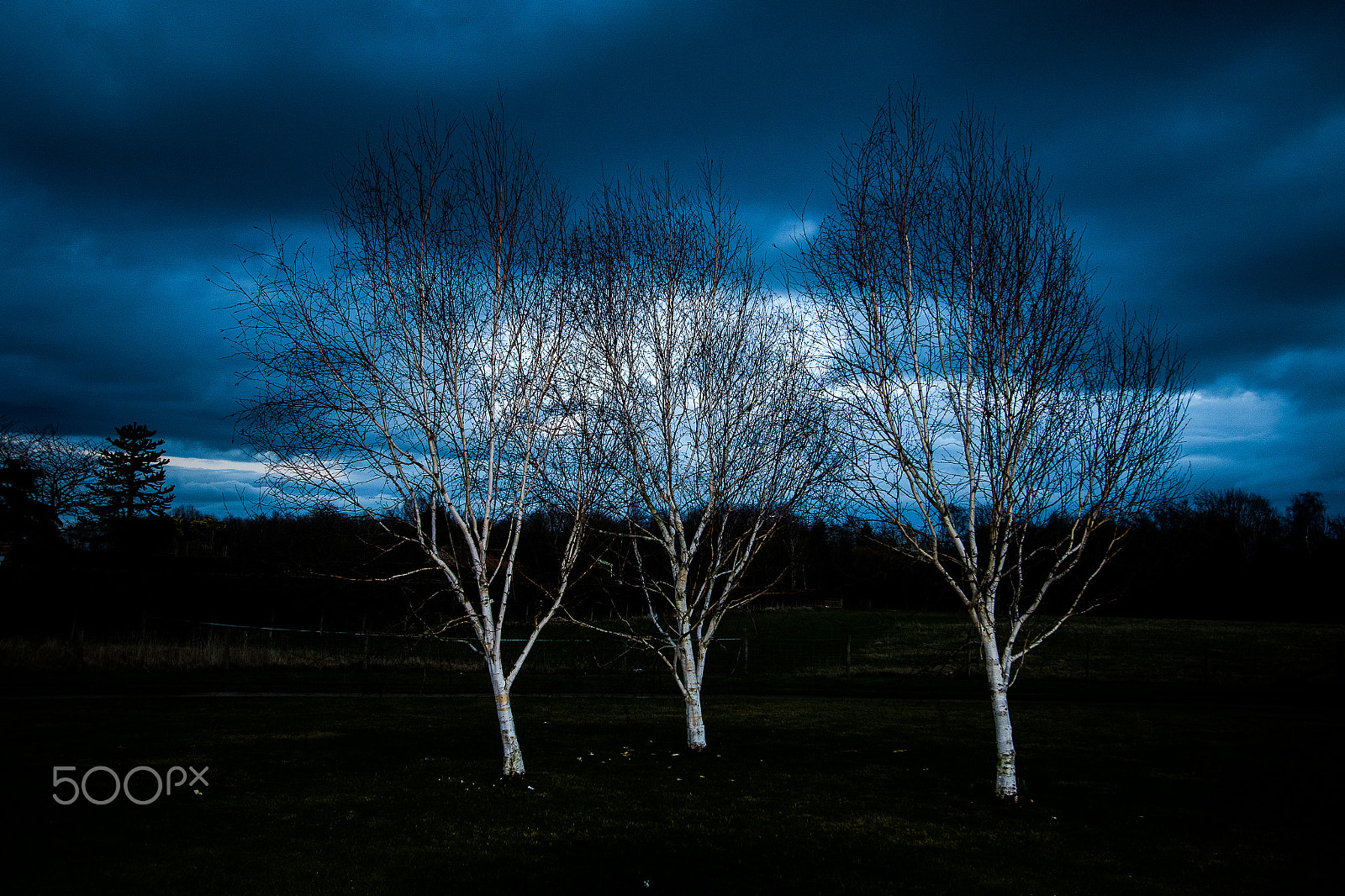 Canon EF-S 10-22mm F3.5-4.5 USM sample photo. Three white trees photography