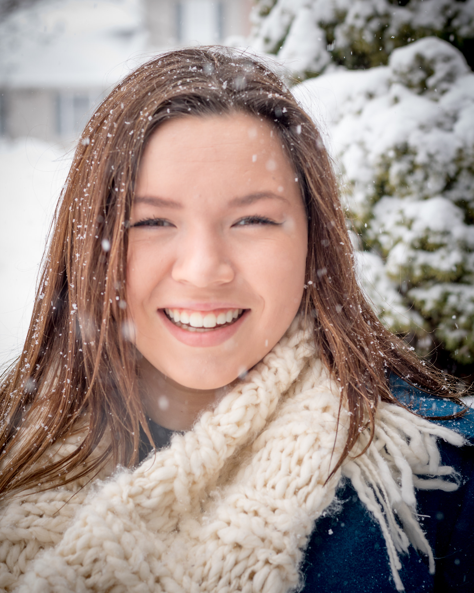 Canon EOS 750D (EOS Rebel T6i / EOS Kiss X8i) sample photo. Sierra in the snow storm photography