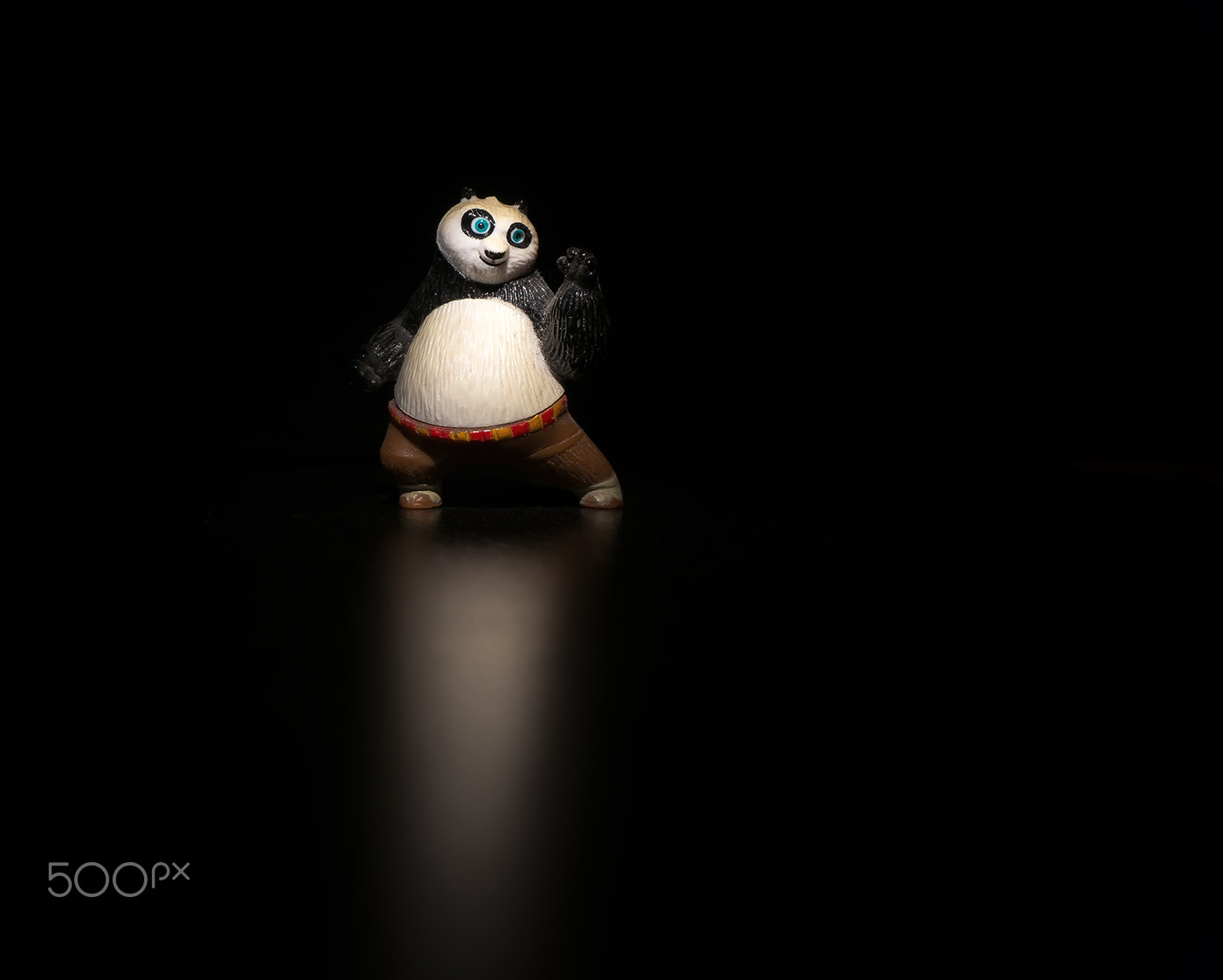 Sony Alpha NEX-6 sample photo. Kung fu panda light photography