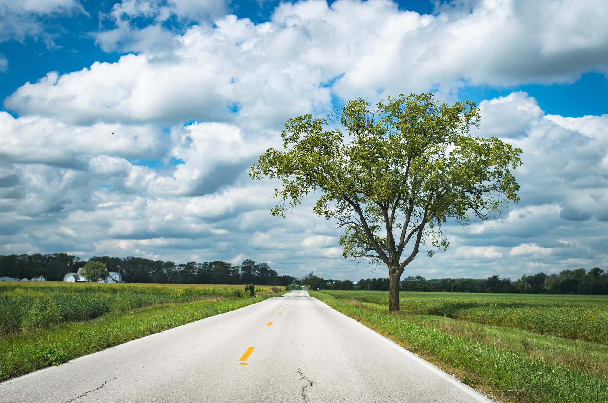 Pentax K-50 sample photo. Country road photography