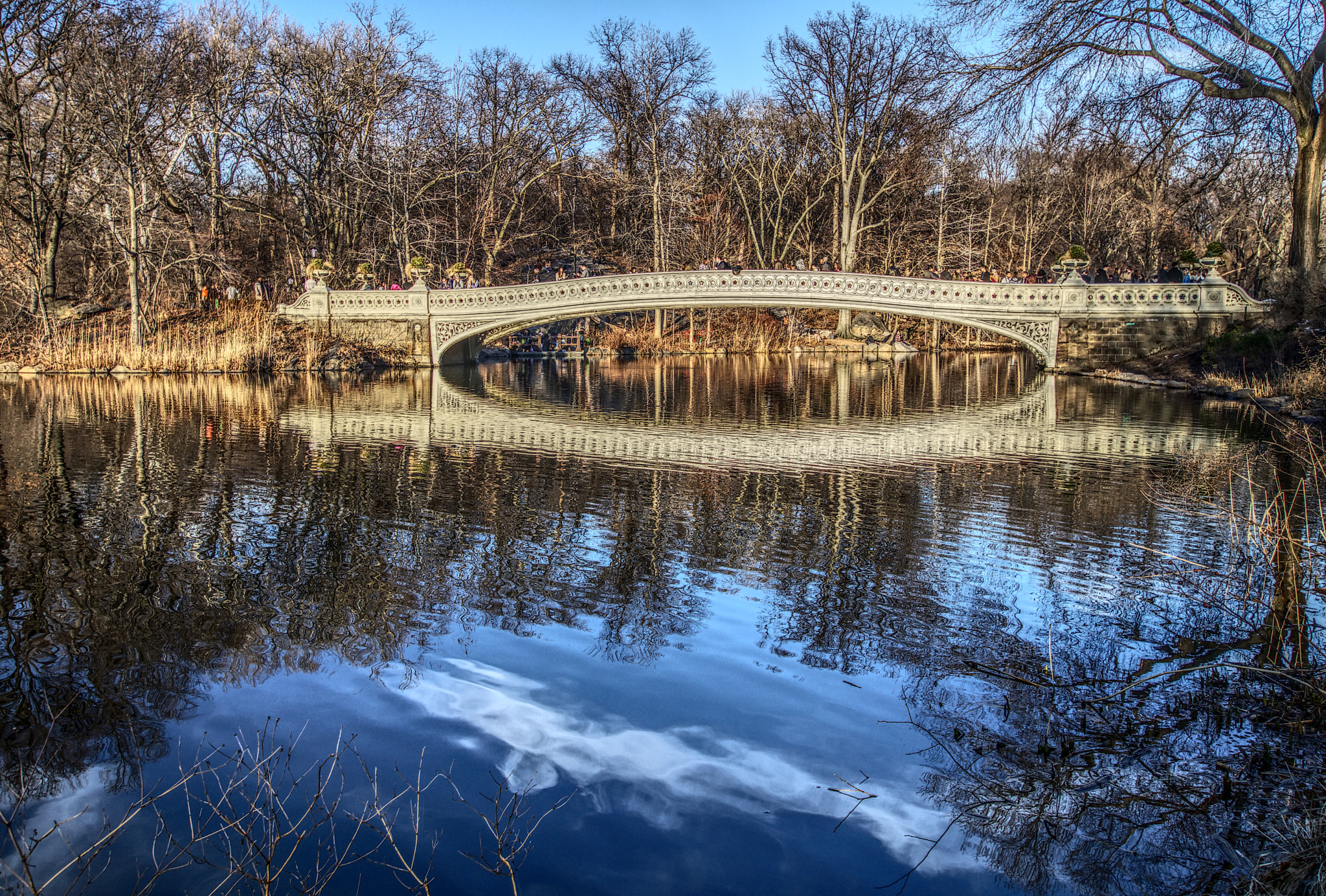 Canon EOS 80D sample photo. Central park bridge photography