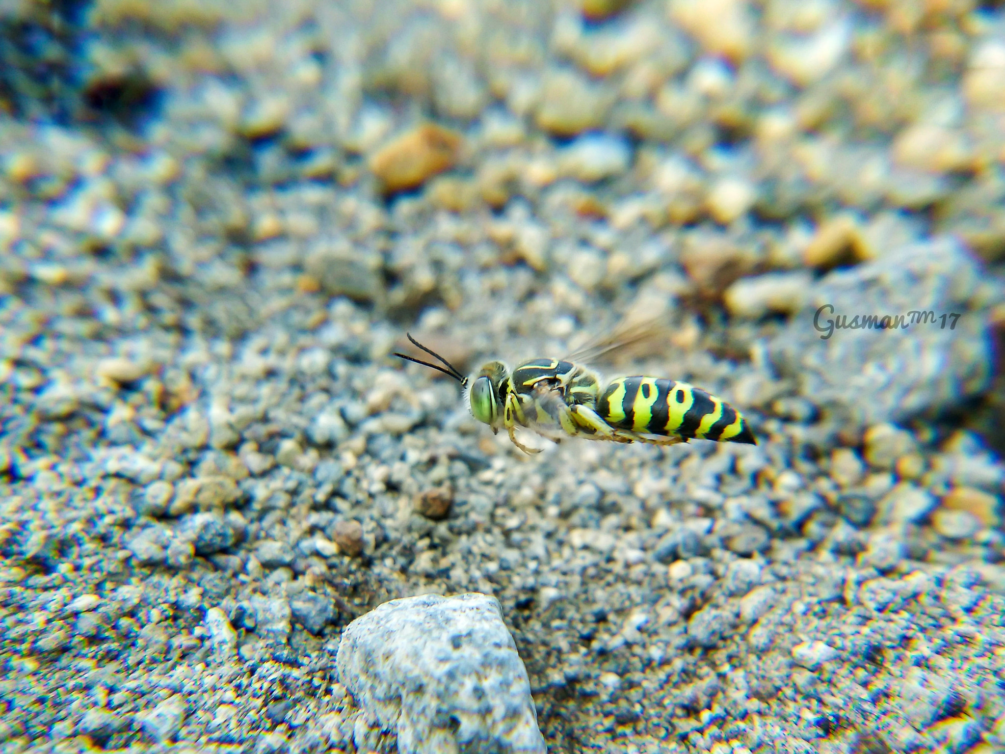 Xiaomi MI4 sample photo