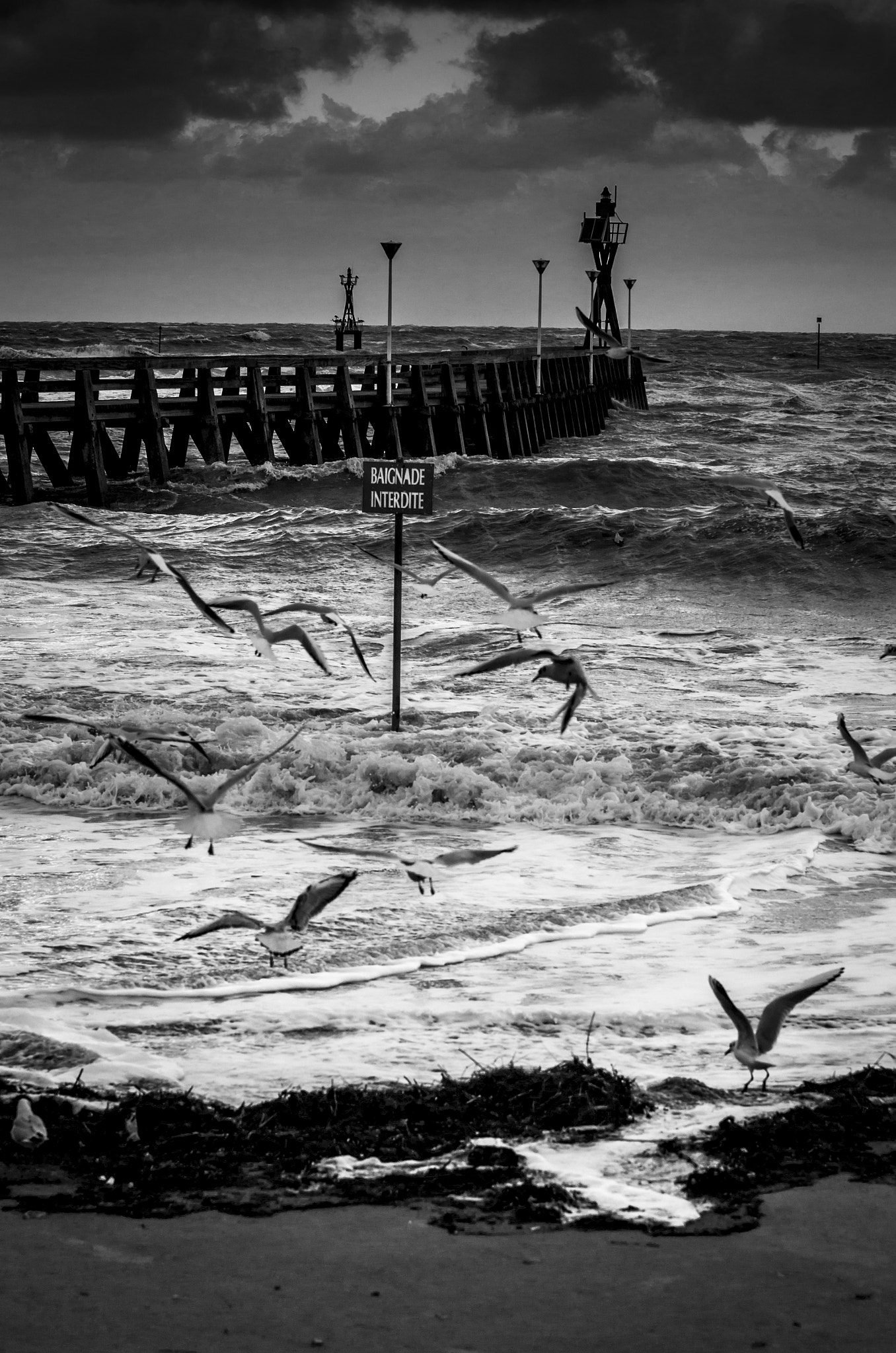 Pentax K-5 sample photo. Plage courseulles sur mer... photography