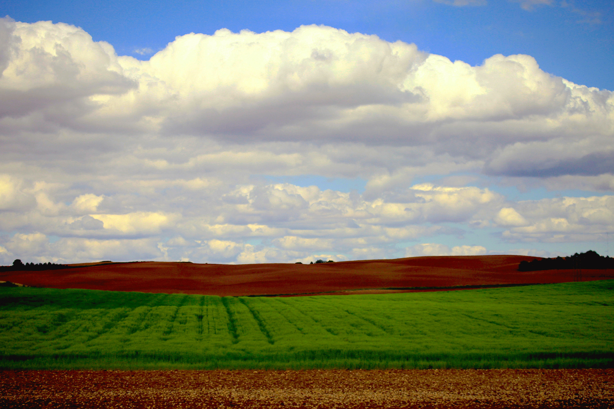 Canon EOS 5D Mark II sample photo. Cloudy - mais où sont les nuages d’autrefois? photography