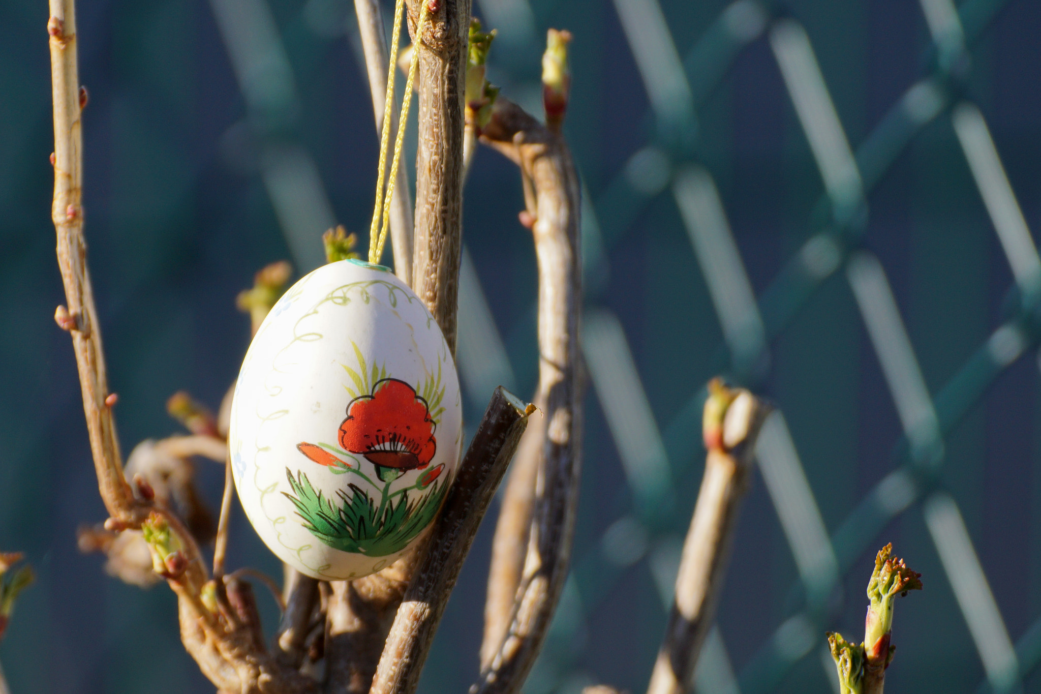 Sony ILCA-77M2 + Tamron SP 70-300mm F4-5.6 Di USD sample photo. Easter egg photography
