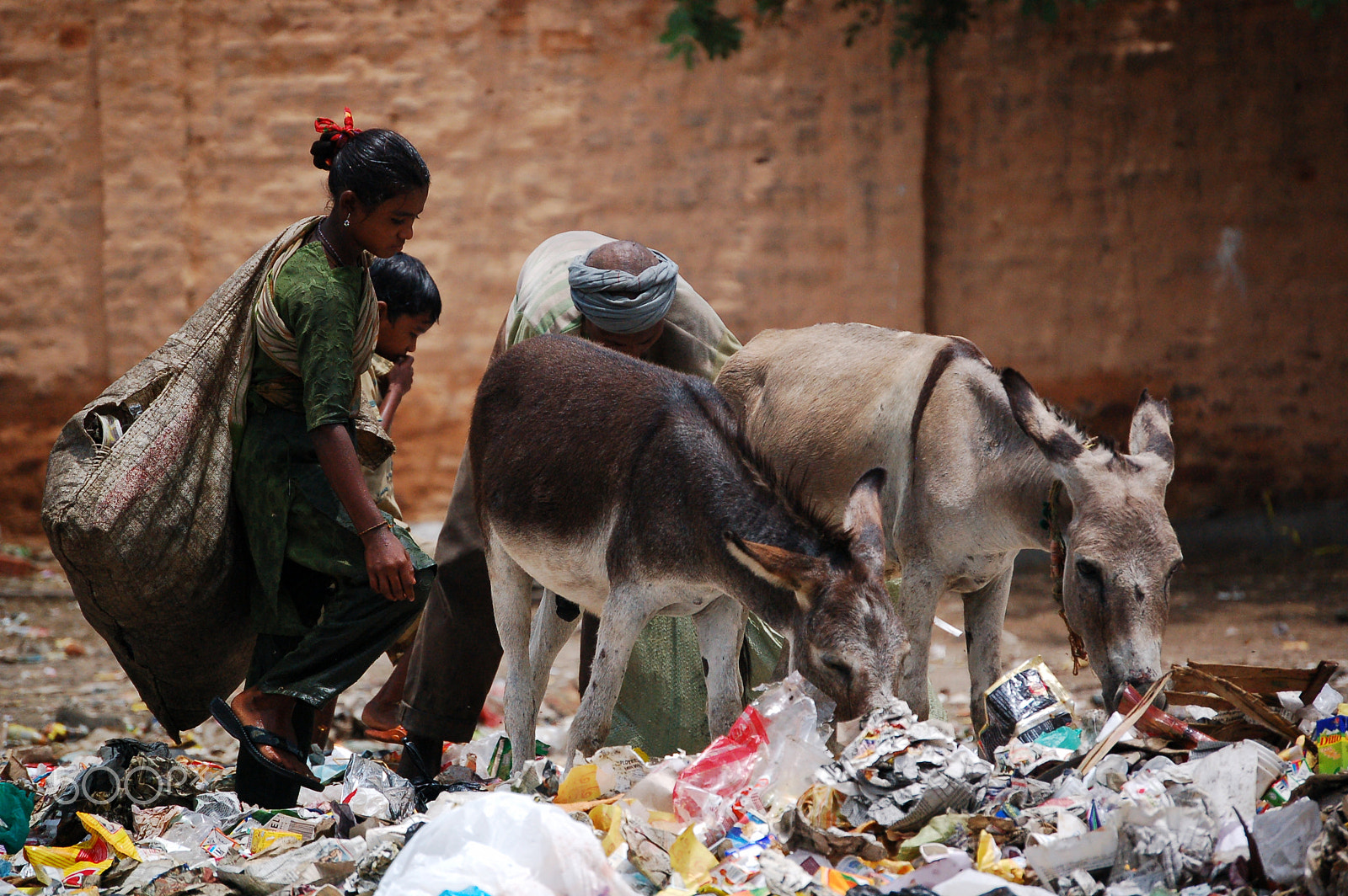 Nikon D50 sample photo. Delhi photography