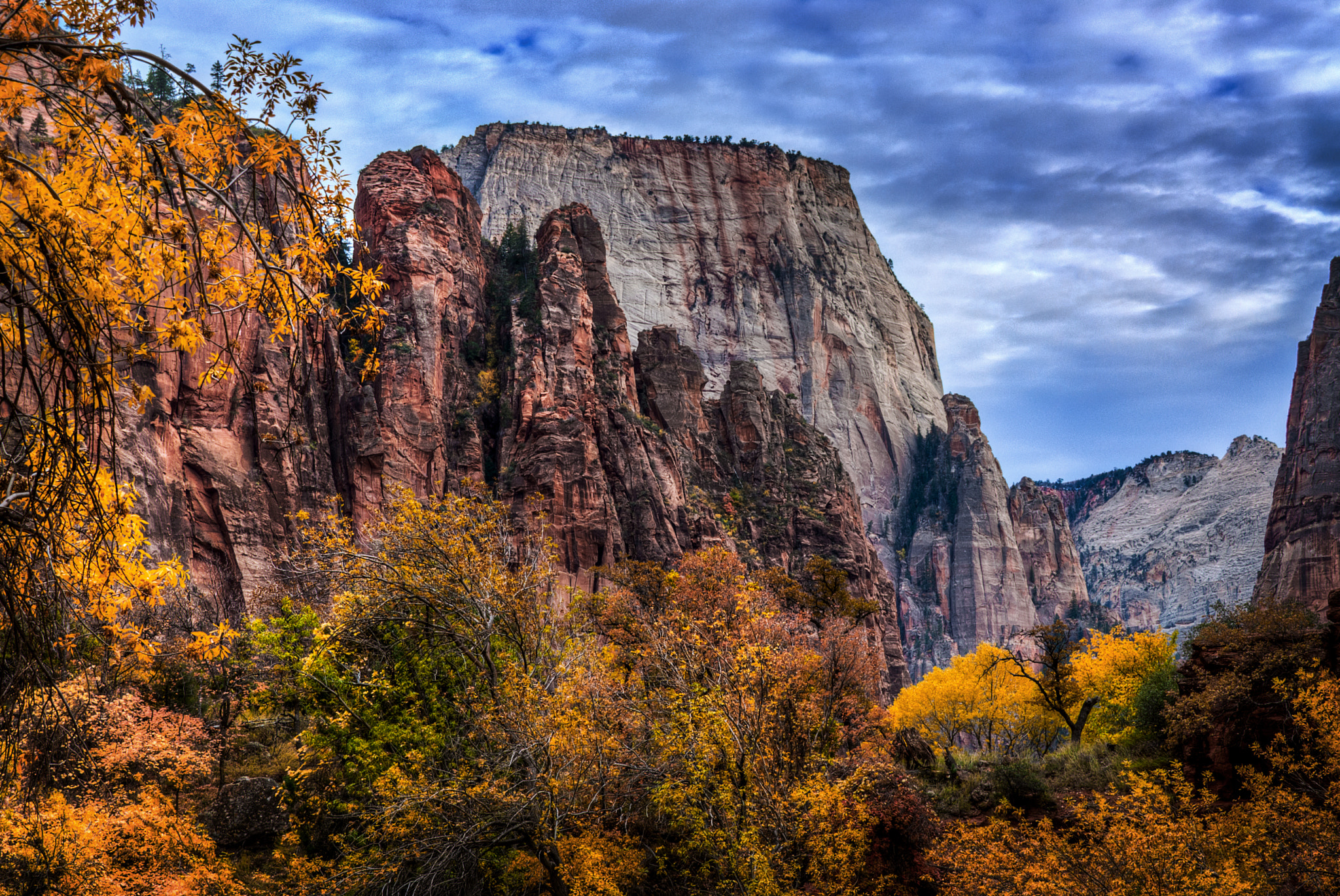 Nikon D200 sample photo. Valley of color photography