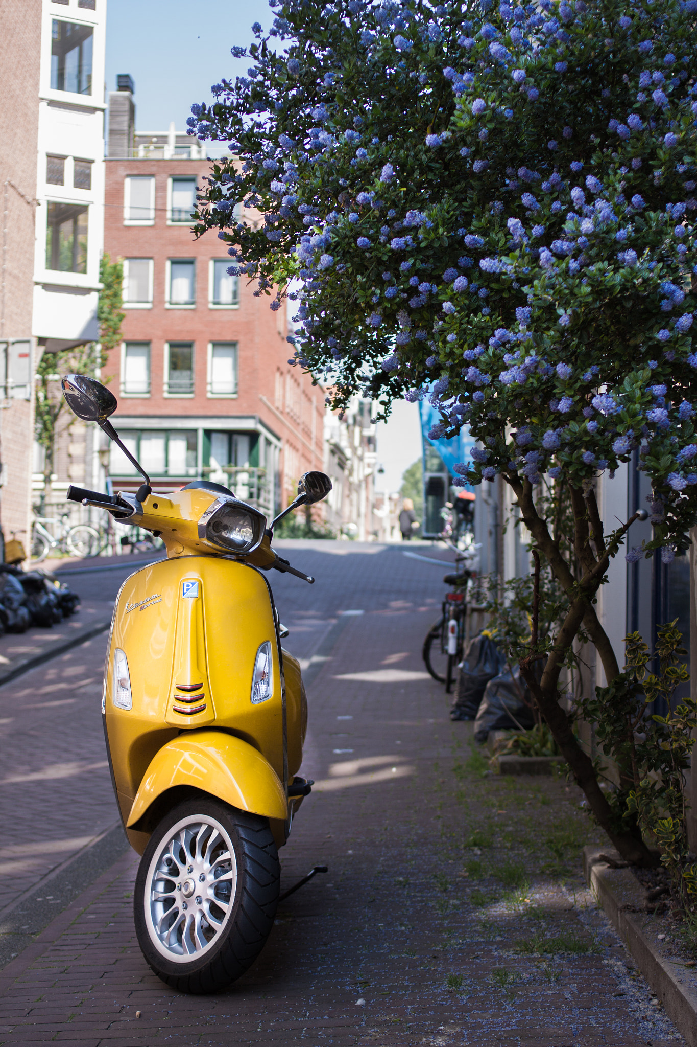 Canon EOS 50D + Canon EF 35mm F2 sample photo. Amsterdam alleyway photography