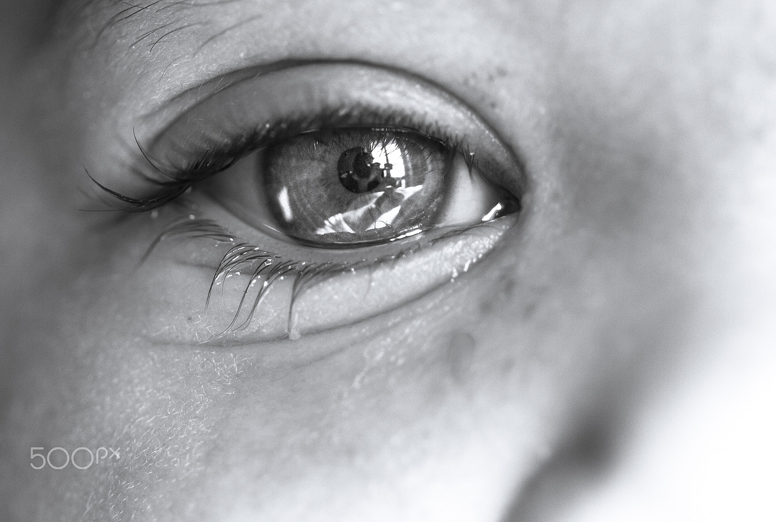 Canon EF 100mm F2.8 Macro USM sample photo. A macro self portrait photography
