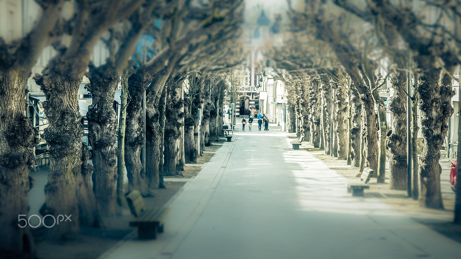 Nikon D5000 sample photo. Back home photography