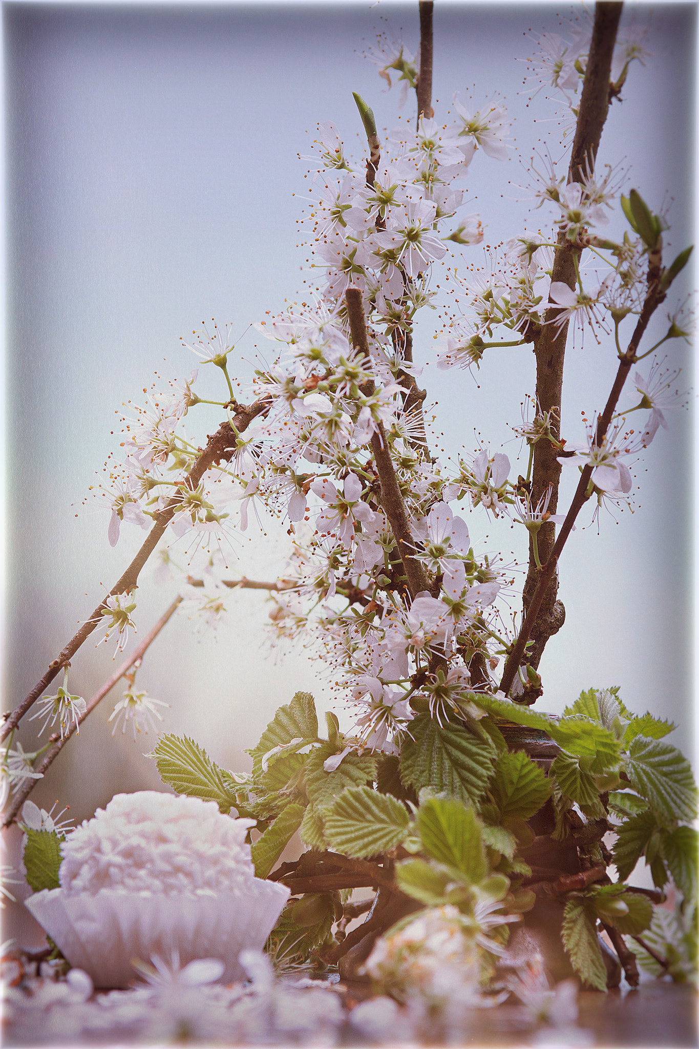 Canon EOS 7D + Sigma 24-70mm F2.8 EX DG Macro sample photo. Mothers day greeting photography