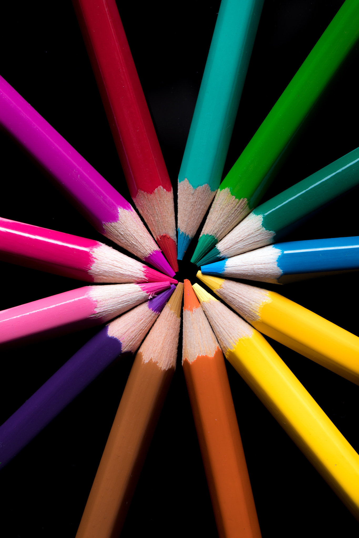 Canon EF 100mm F2.8 Macro USM sample photo. Coloured photography