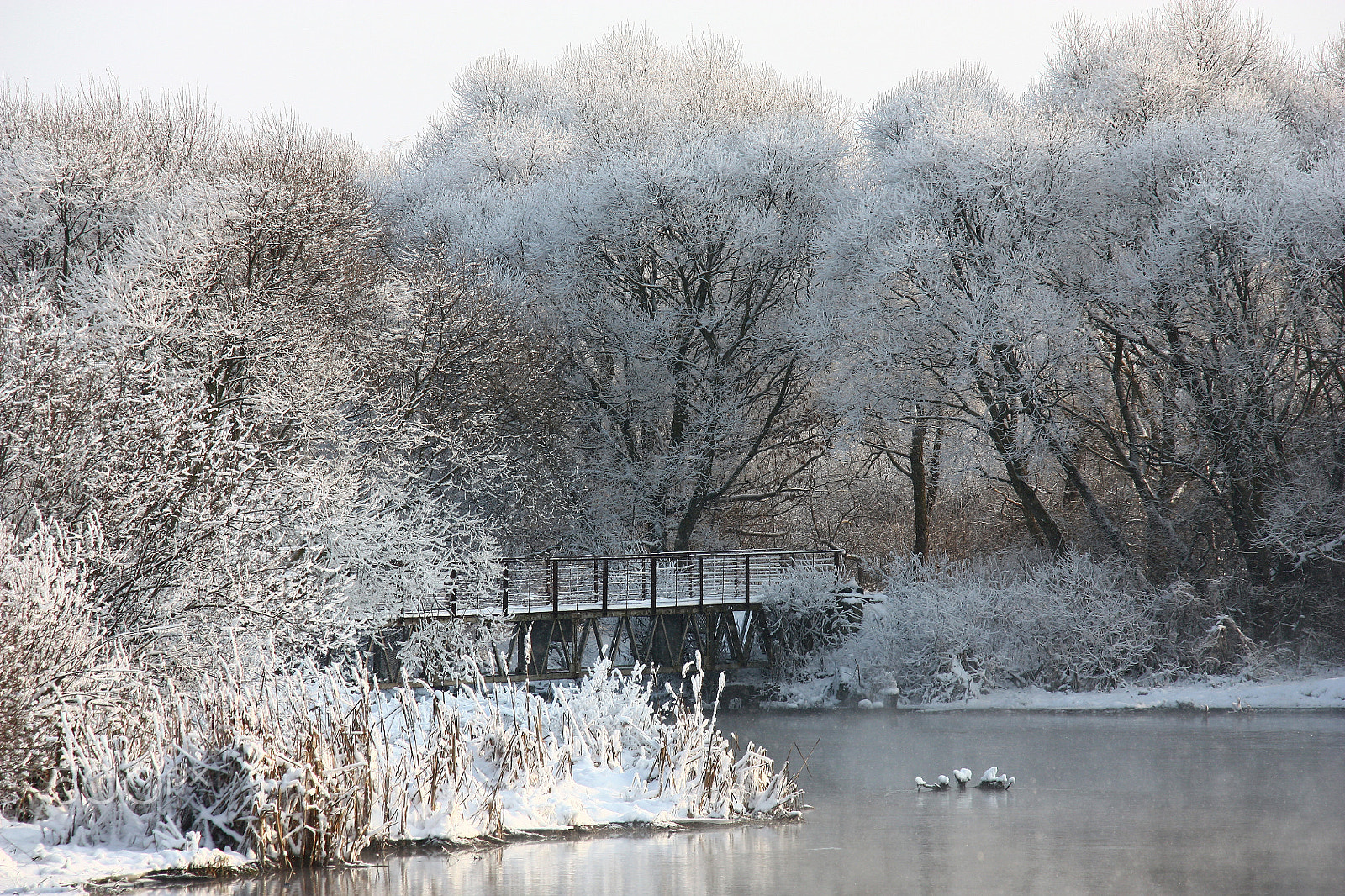 Canon EOS 450D (EOS Rebel XSi / EOS Kiss X2) sample photo. Landscape of the winter river. photography