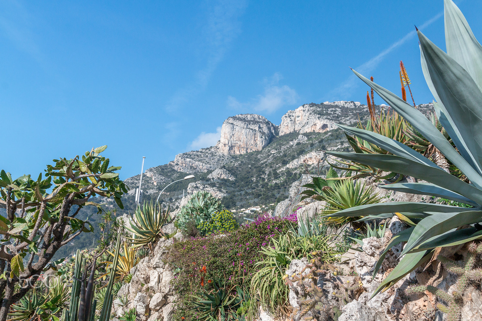 Canon EOS 70D + Canon EF 17-40mm F4L USM sample photo. Italy -  fiora riviera photography