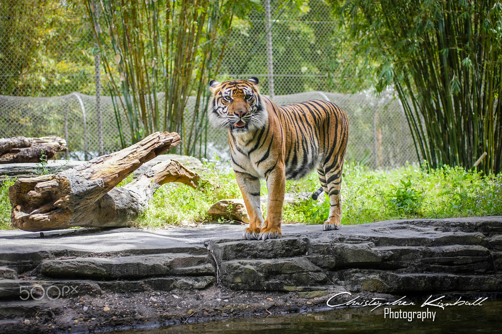 Canon EOS 40D sample photo. Jacksonvillezoo photography