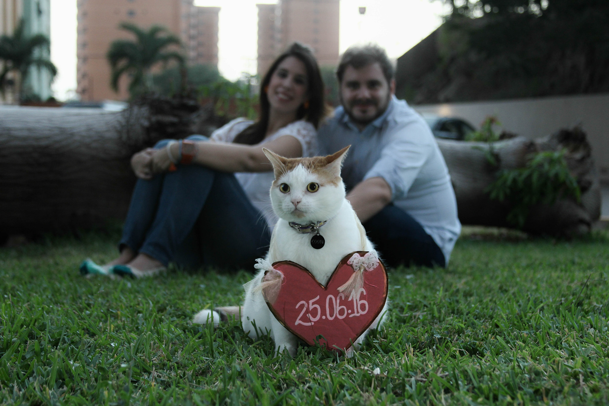 Canon EF 28-135mm F3.5-5.6 IS USM sample photo. Team photography