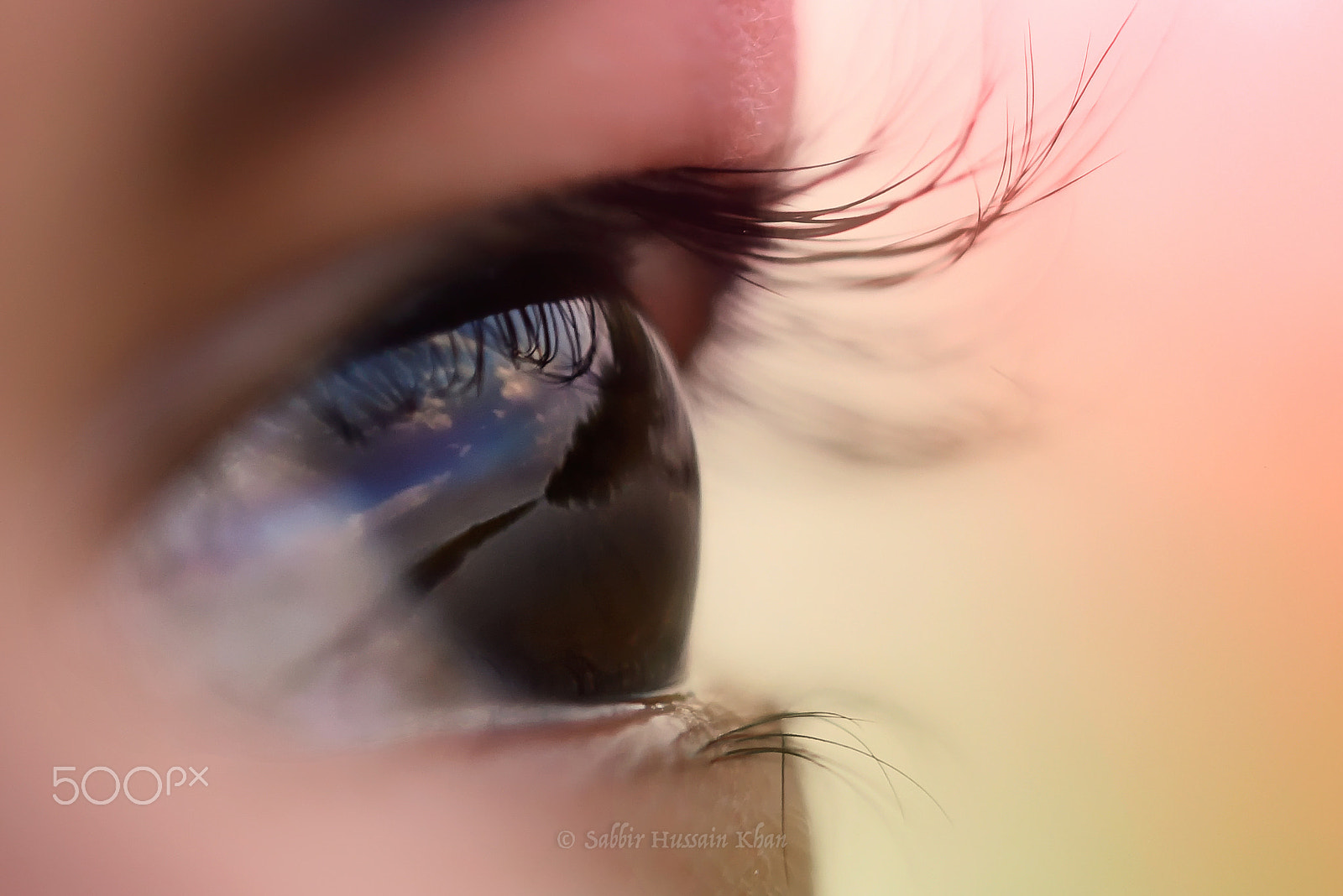 Nikon D810 sample photo. Beauty of bangladesh photography