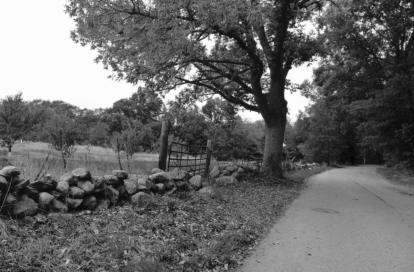 Leica D-LUX 5 sample photo. The unknown path photography