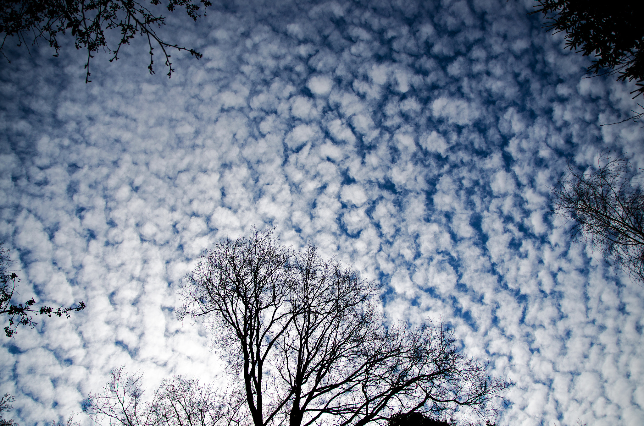 Sigma 17-70mm F2.8-4 DC Macro OS HSM | C sample photo. Skyscape photography