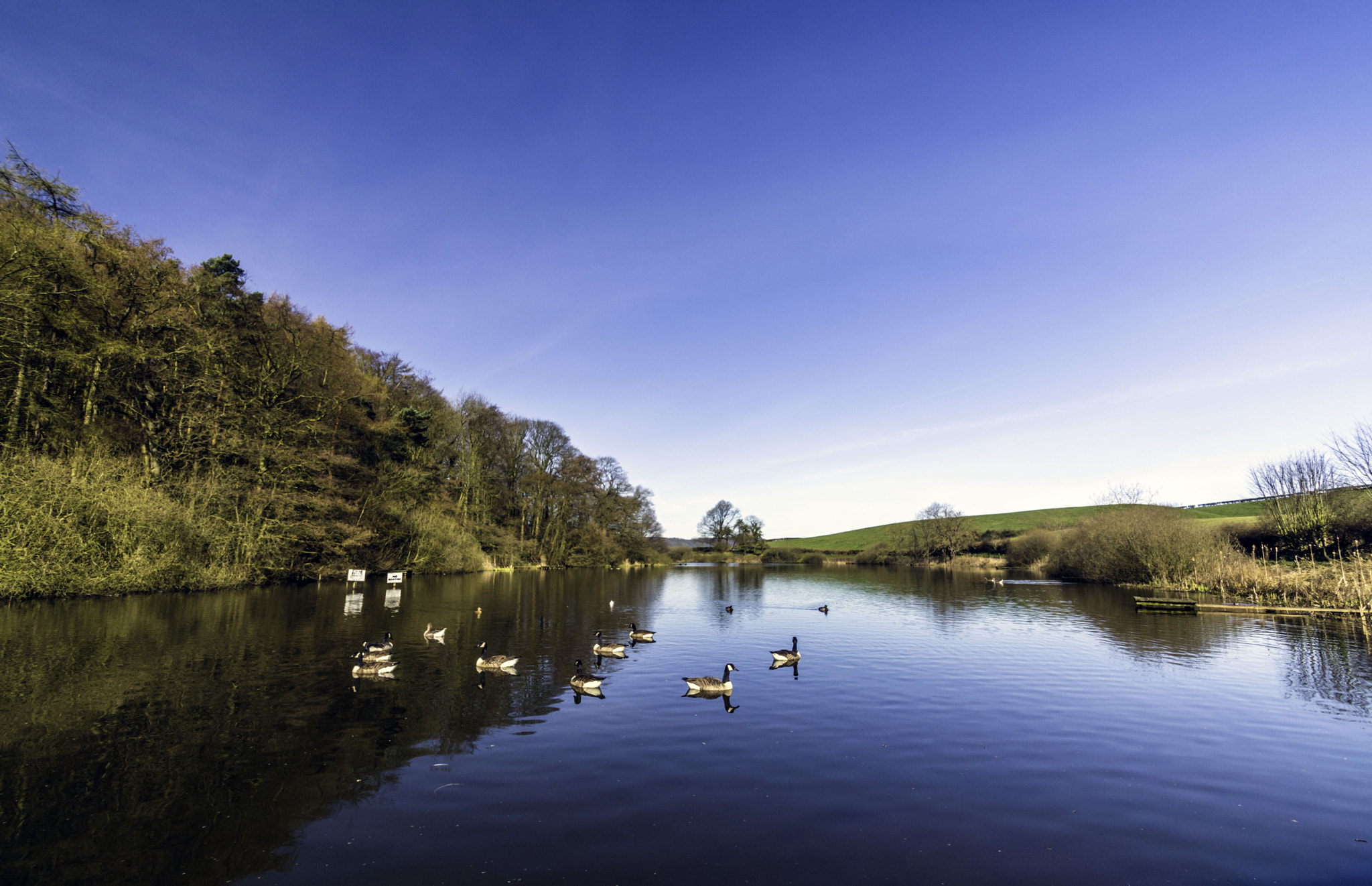 Nikon D7200 sample photo. 25th march bempton cliffs and throxenby mere photography