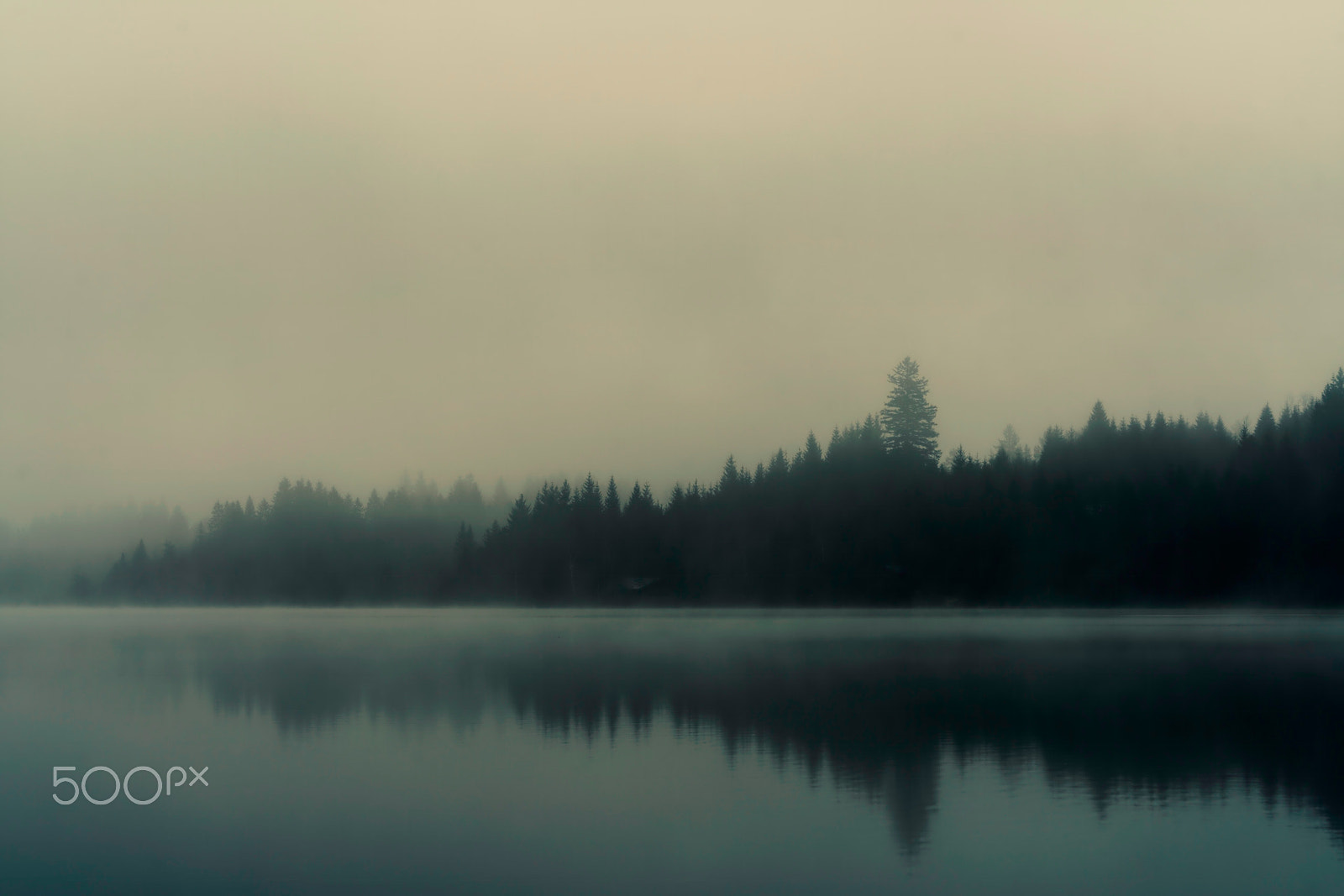 Sony a7R II sample photo. Misty morning at the lake photography