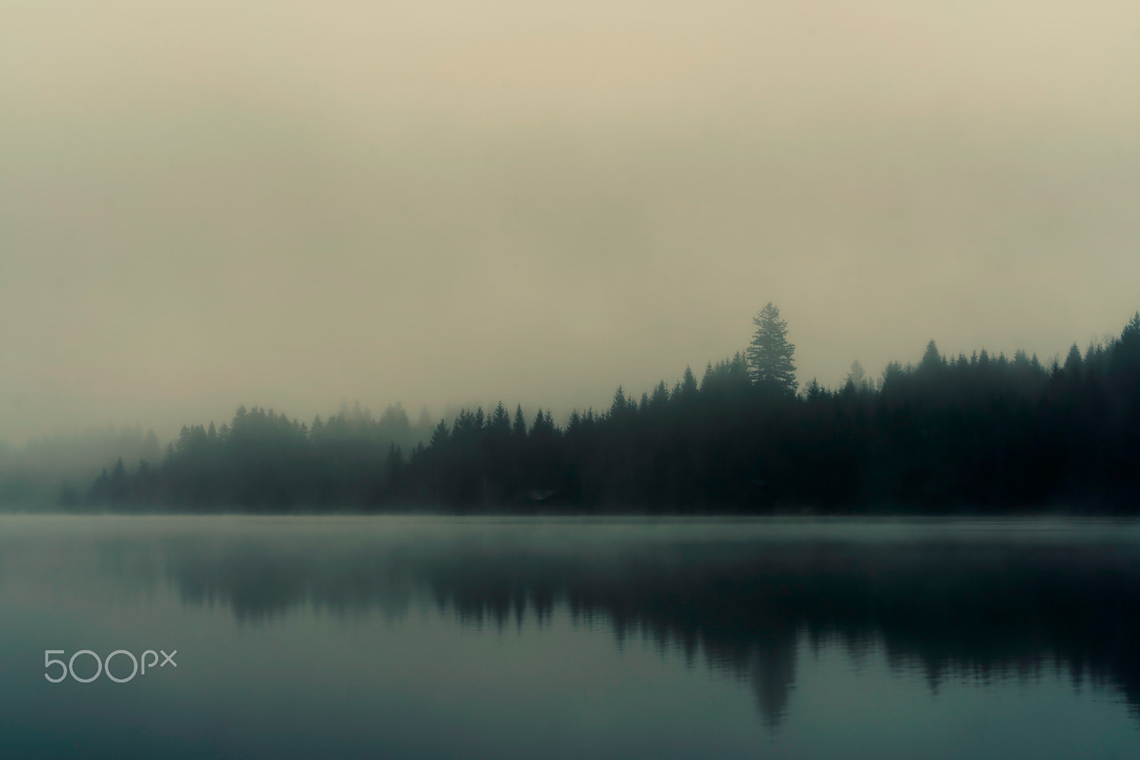 Sony FE 70-300mm F4.5-5.6 G OSS sample photo. Misty morning at the lake photography