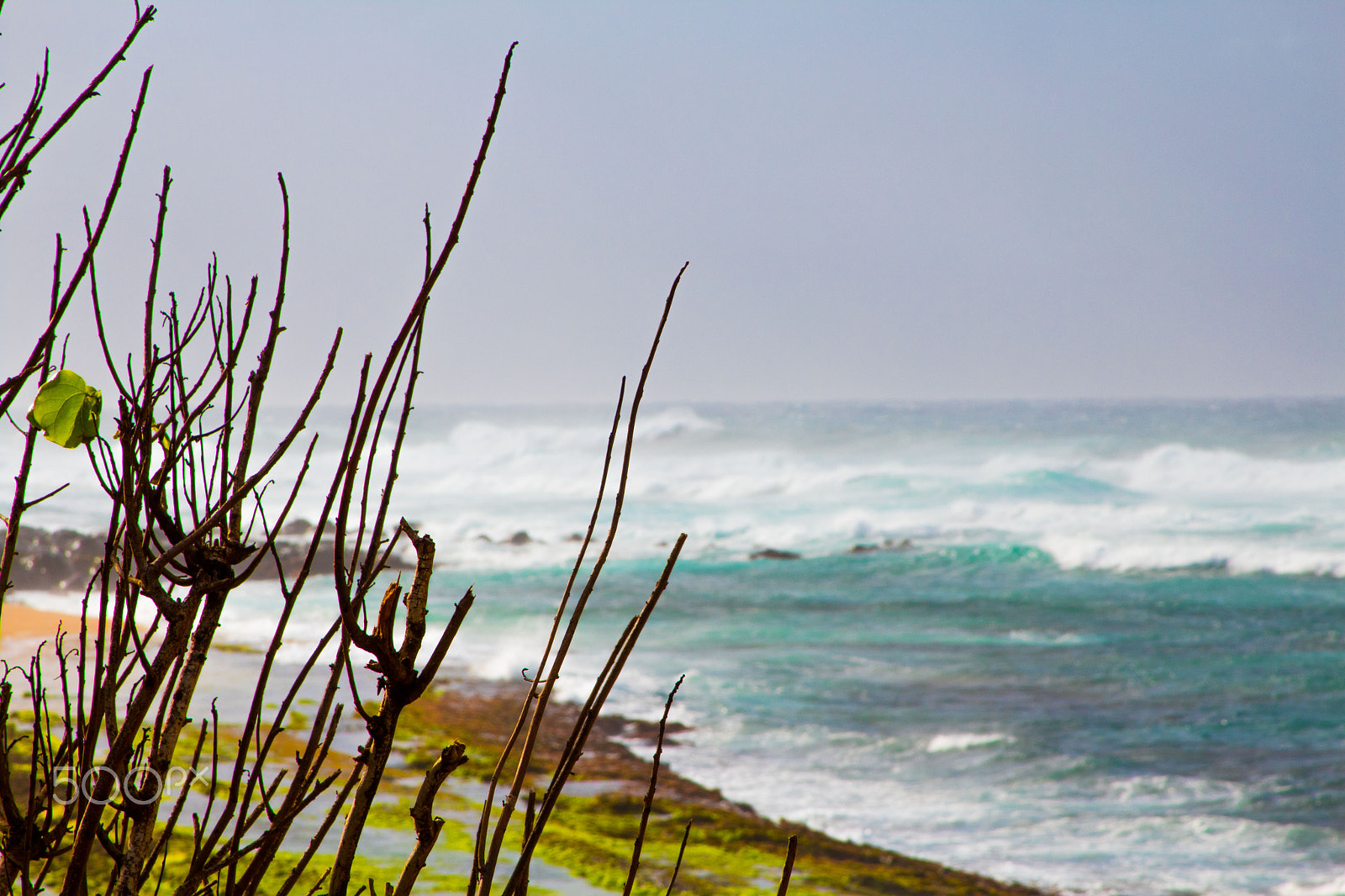 Canon EOS 1300D (EOS Rebel T6 / EOS Kiss X80) sample photo. Windy ocean photography