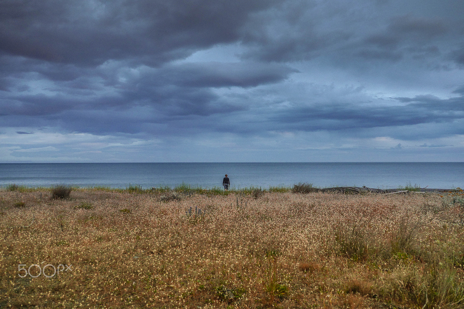 Panasonic Lumix DMC-GH3 sample photo. Immensity photography