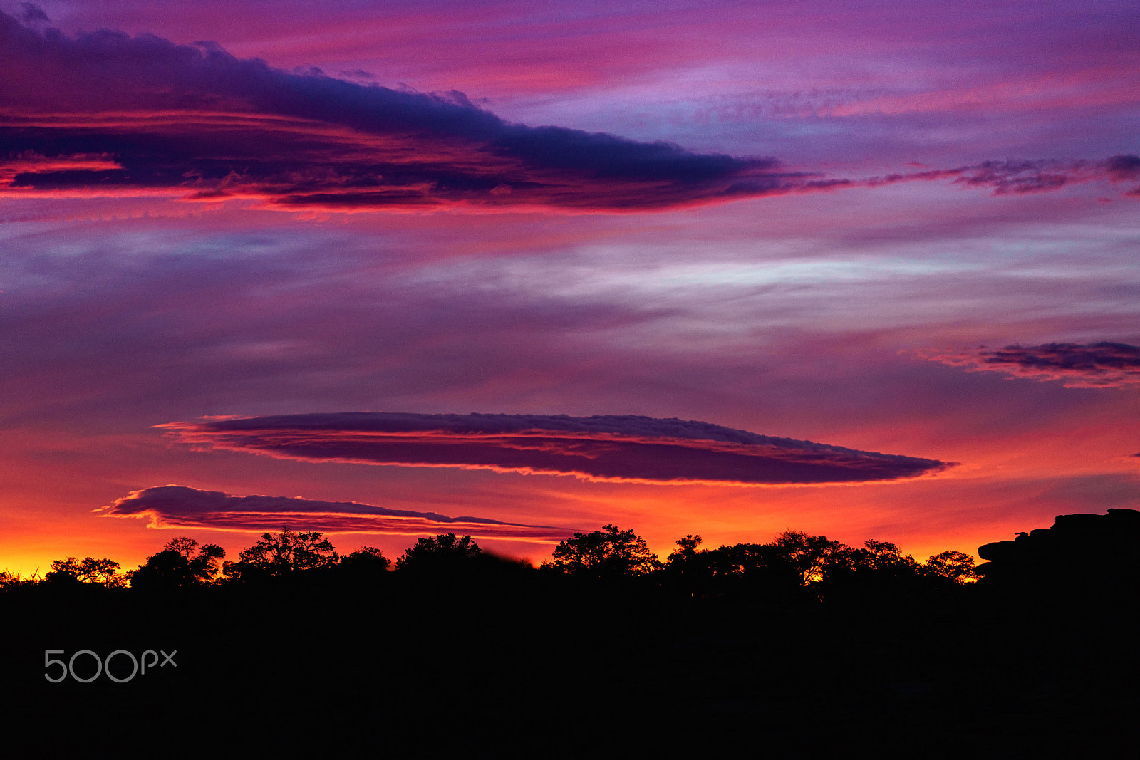 Sony a7R II sample photo. Nice sunset with tree silhouettes photography